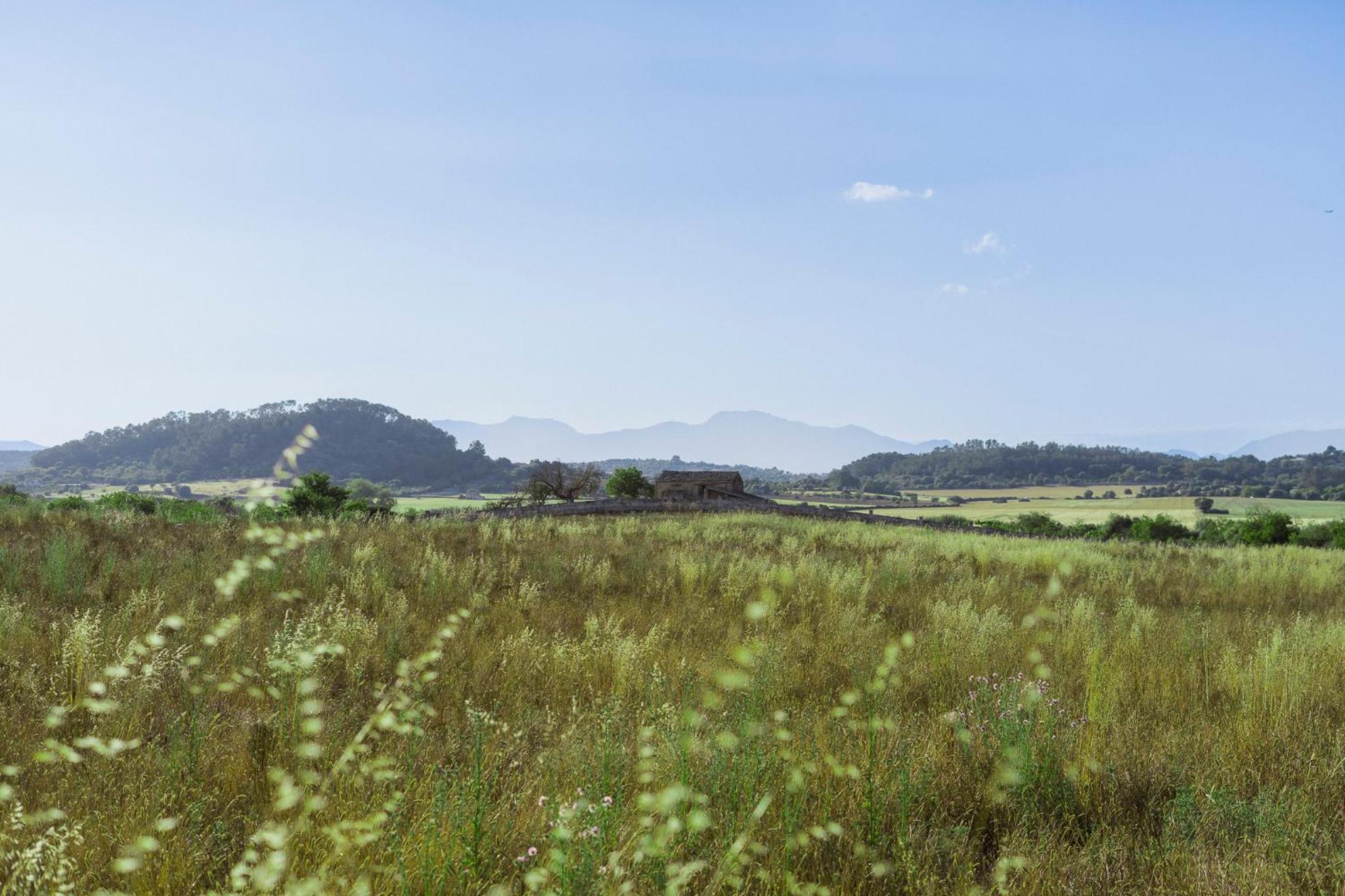 Vista Verde