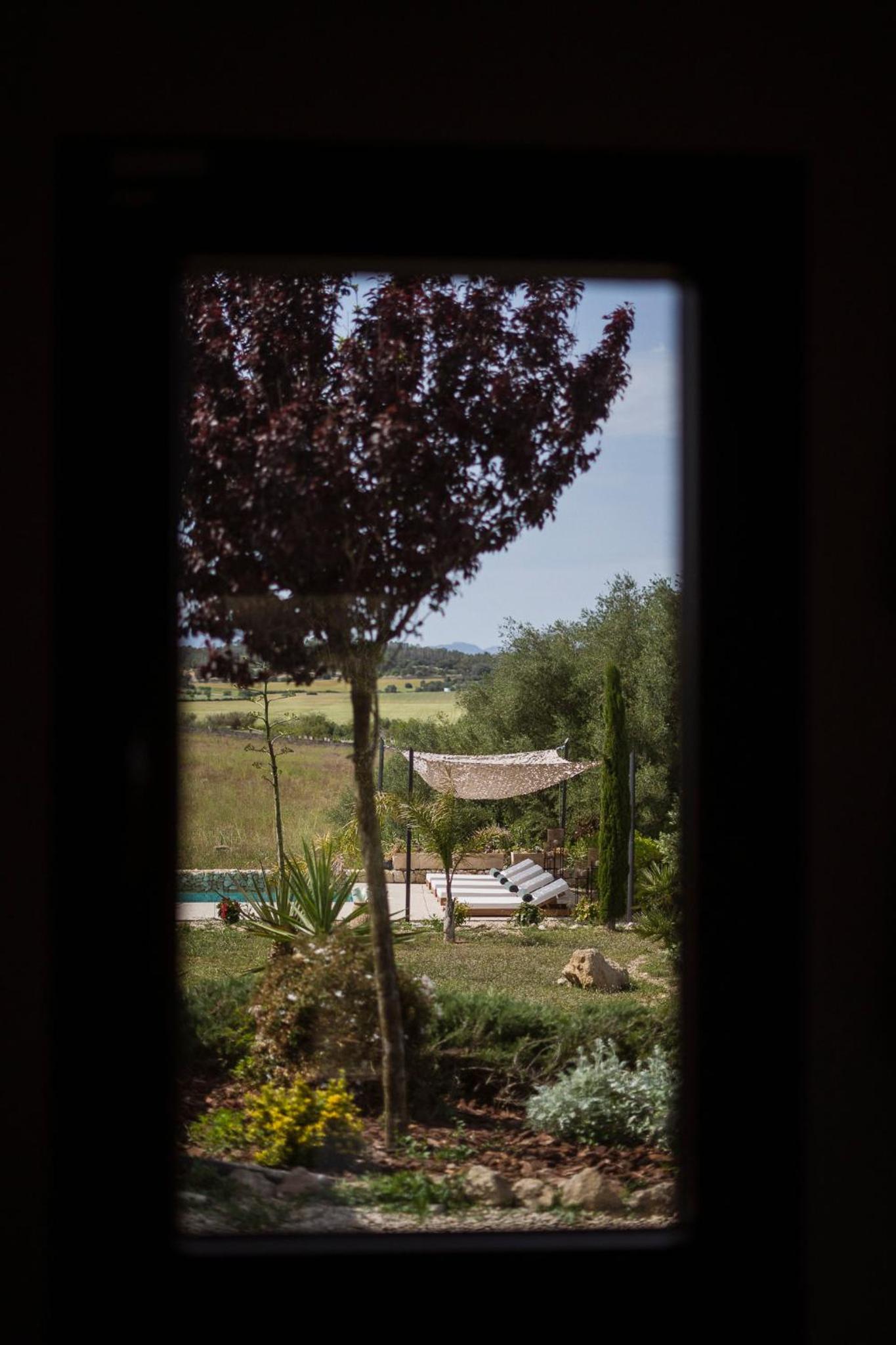 Vista Verde