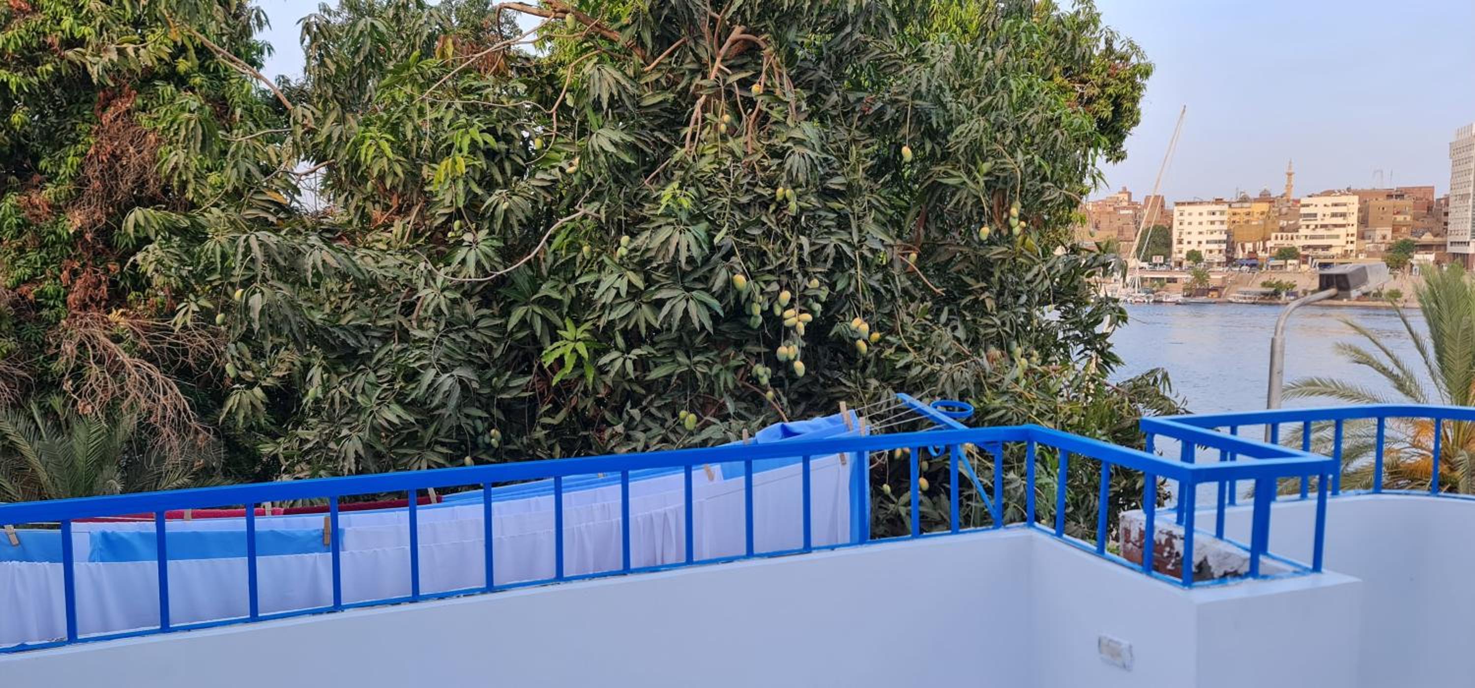 La Terrace