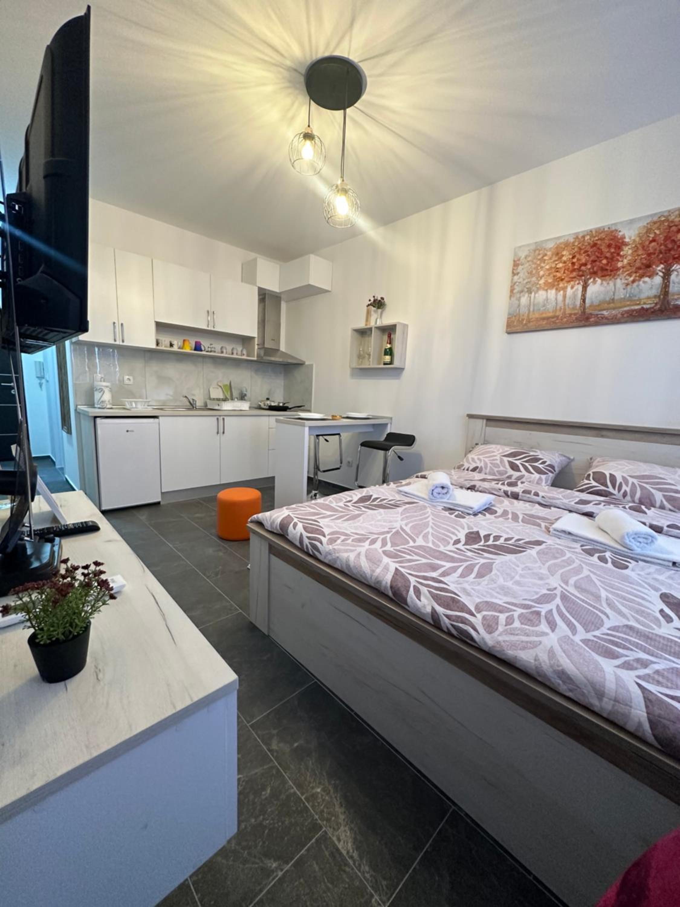 Apartman Aleks