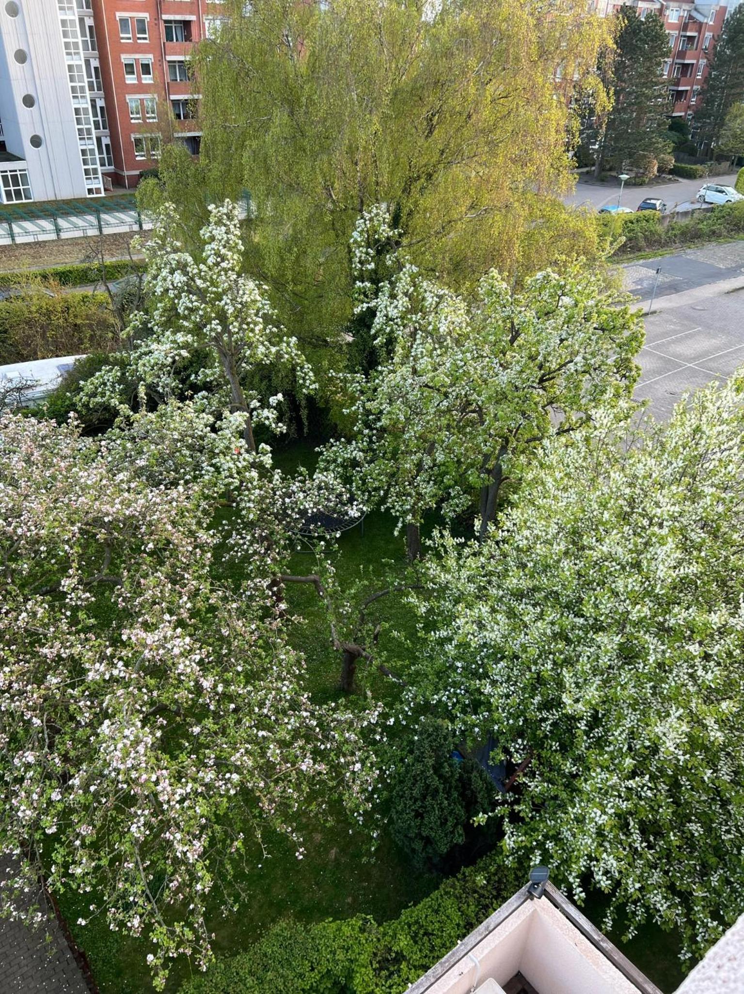 Ferienwohnung Strandläufer