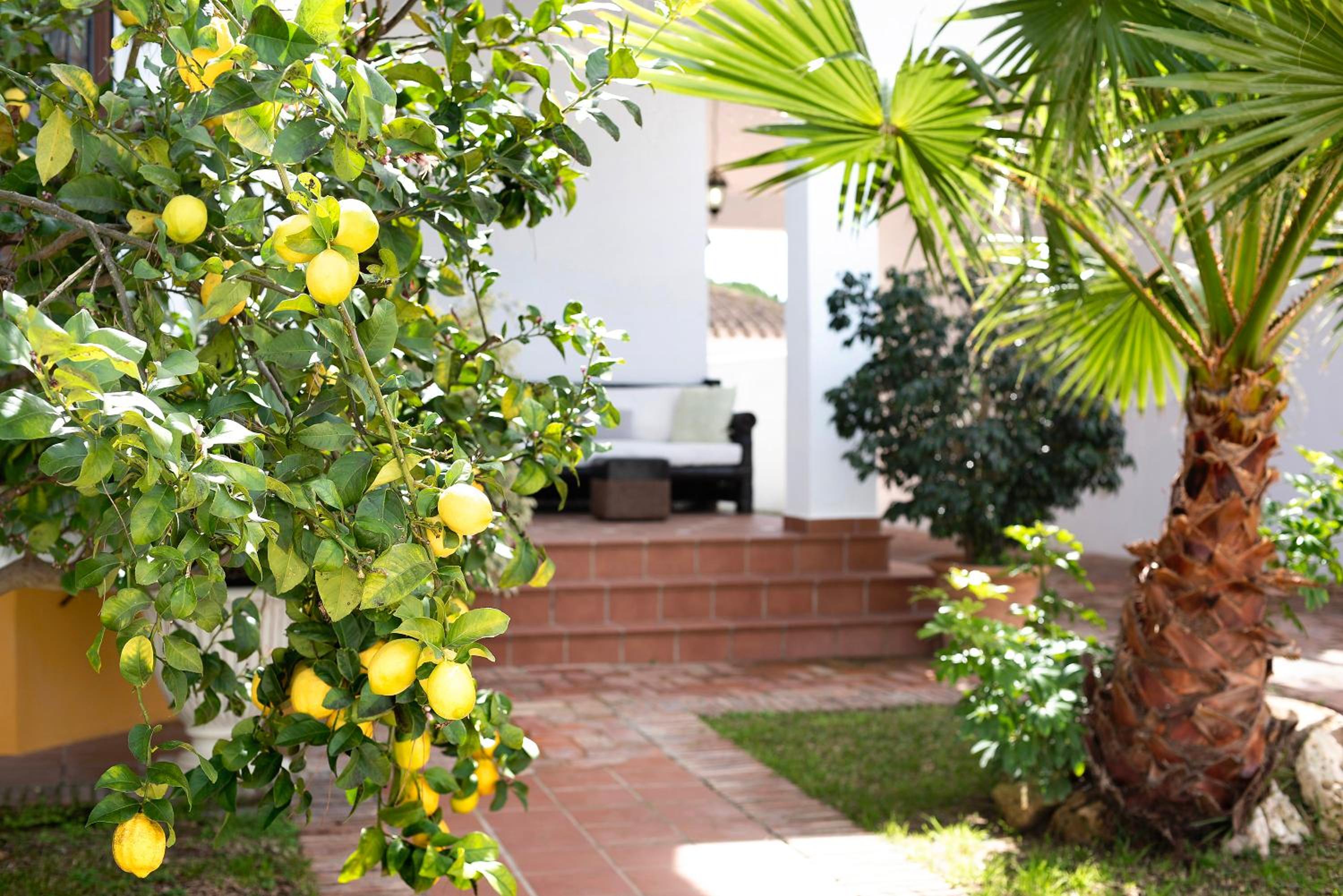 Villa Margaritas