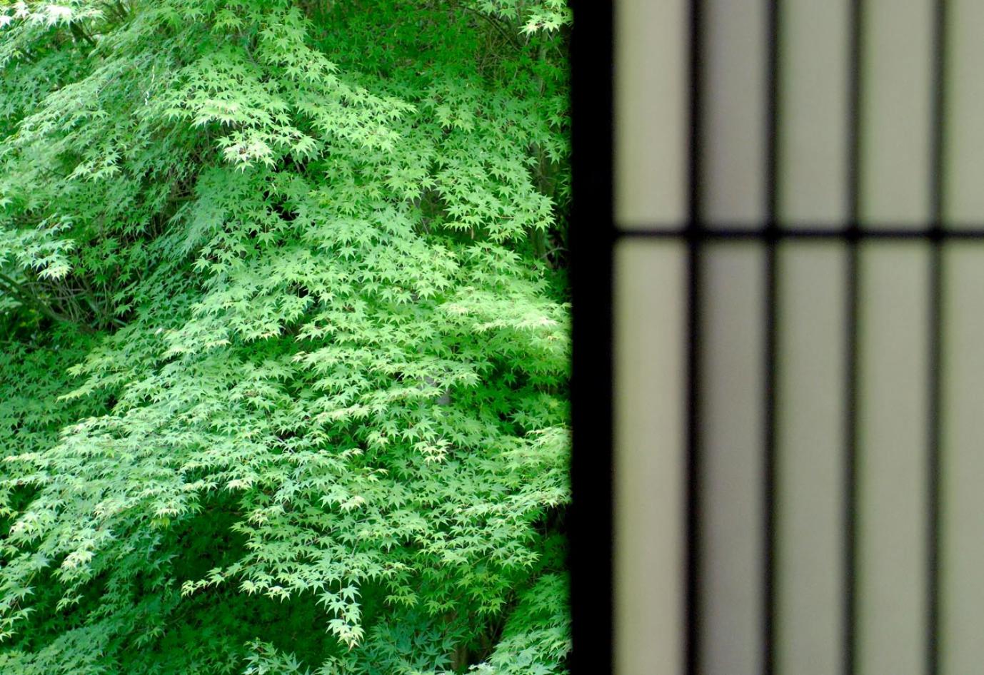 Ryokan Sumiya Kihoan