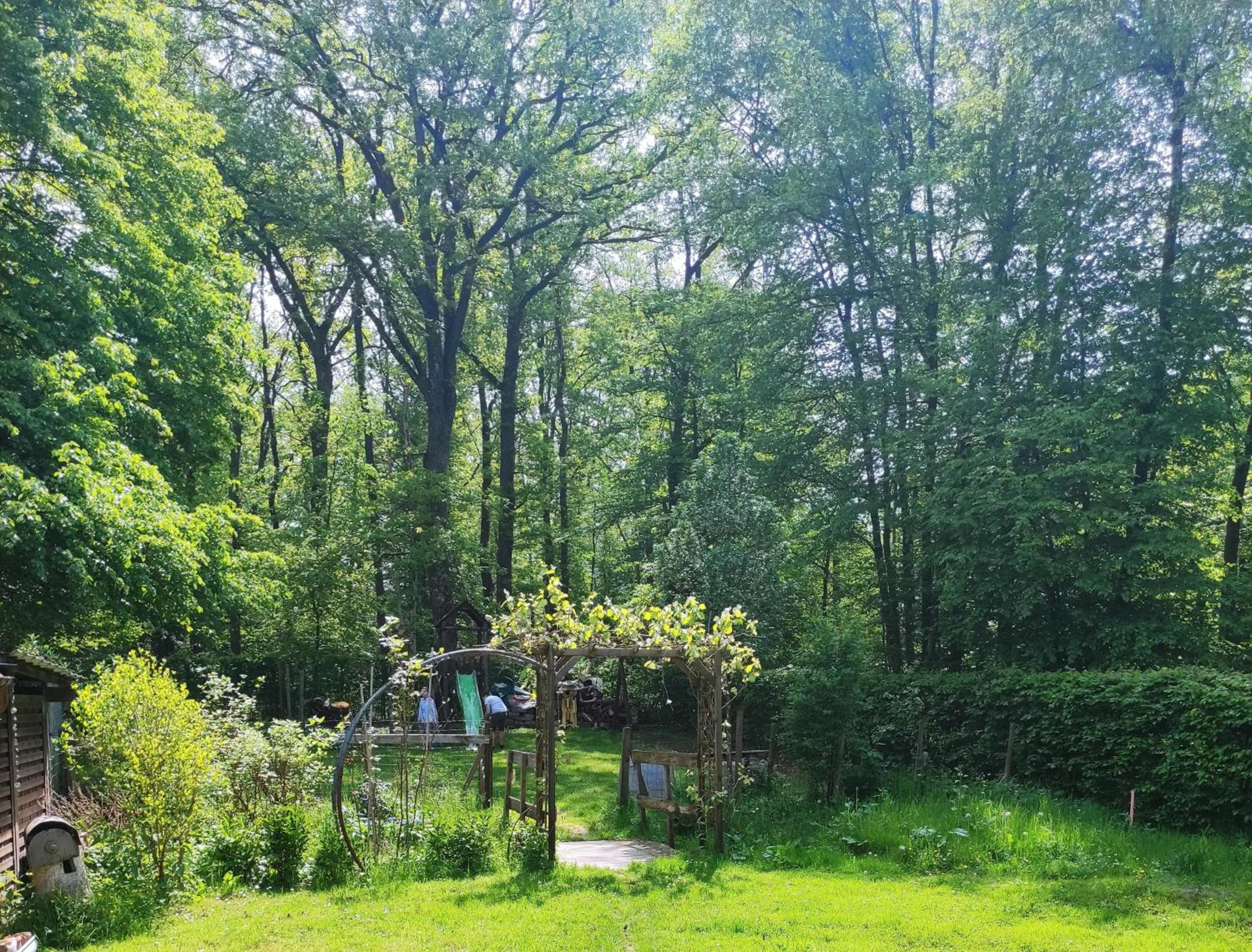 bois de biron - gîte - vakantiehuis - chalet