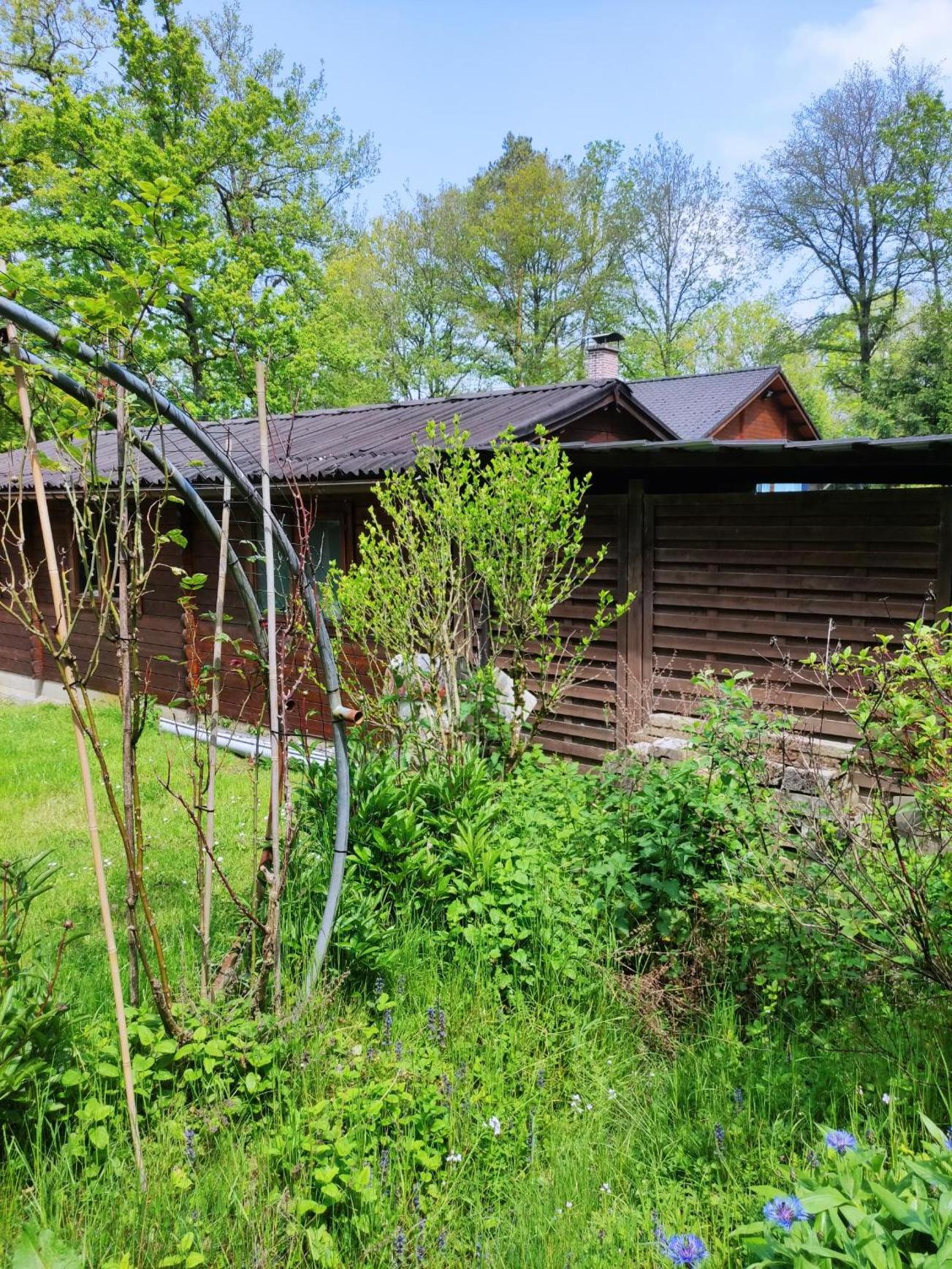 bois de biron - gîte - vakantiehuis - chalet