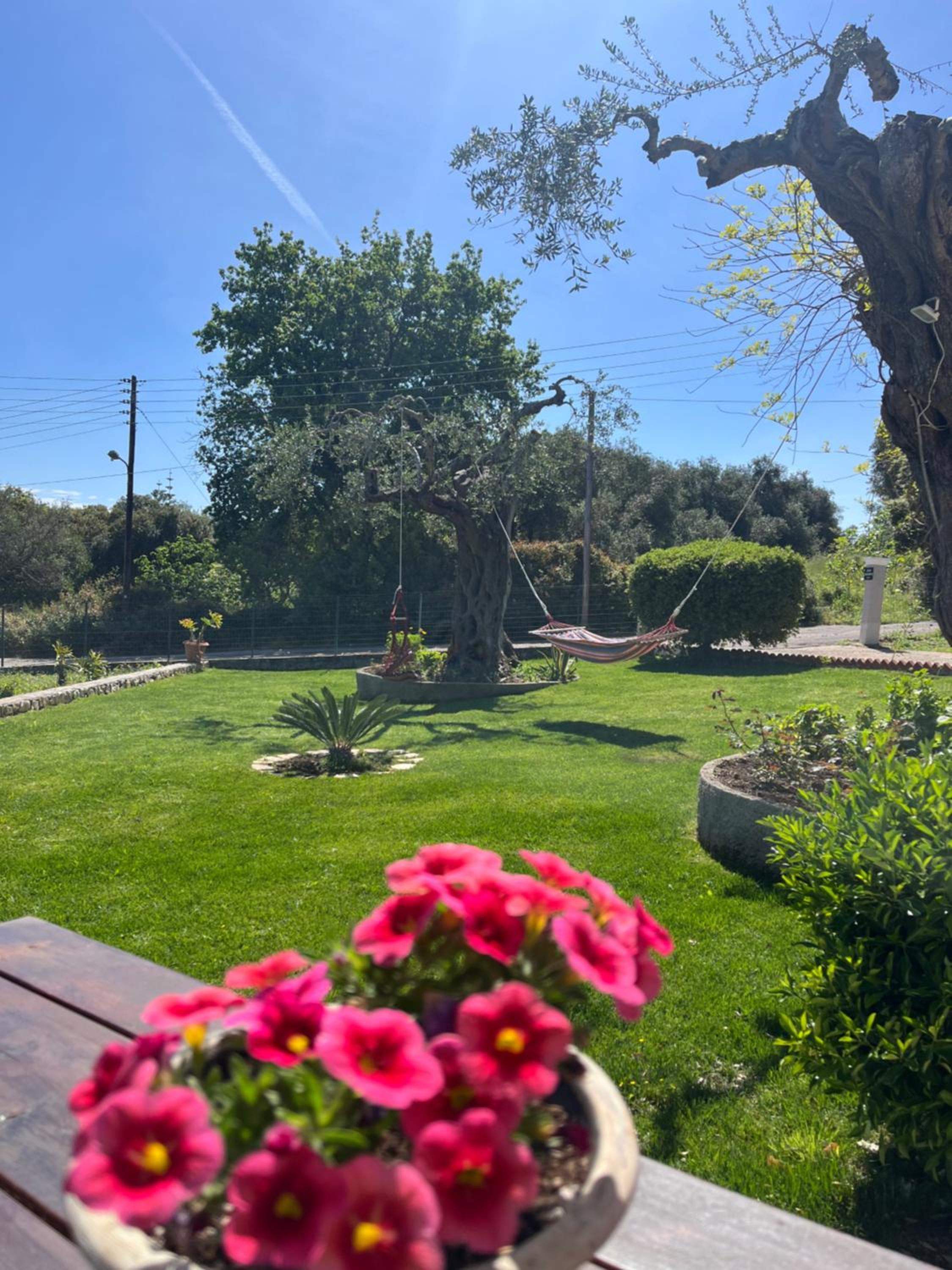 Ilias Apartments Dassia By Hotelius photo 5