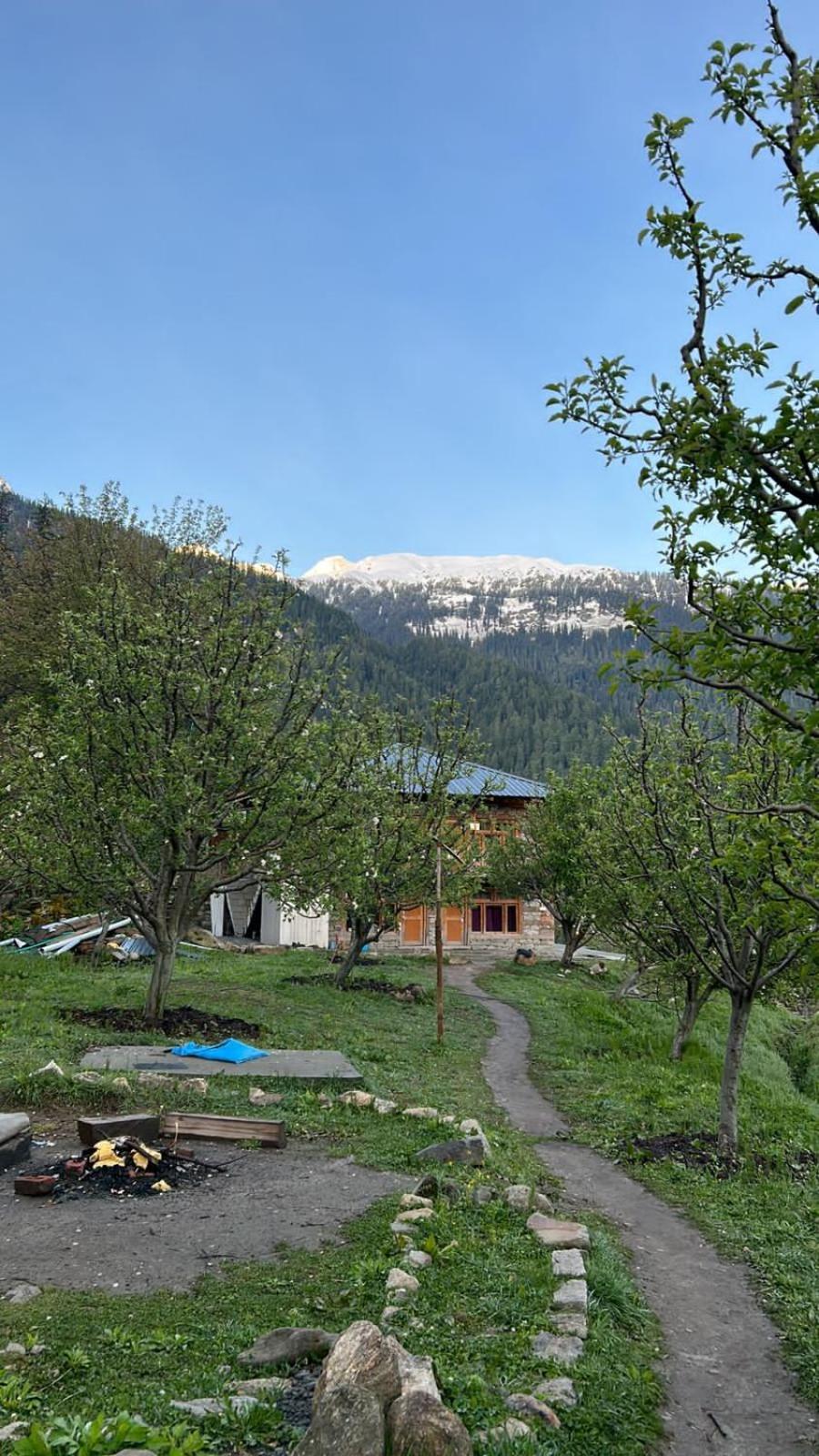 Photo 19
