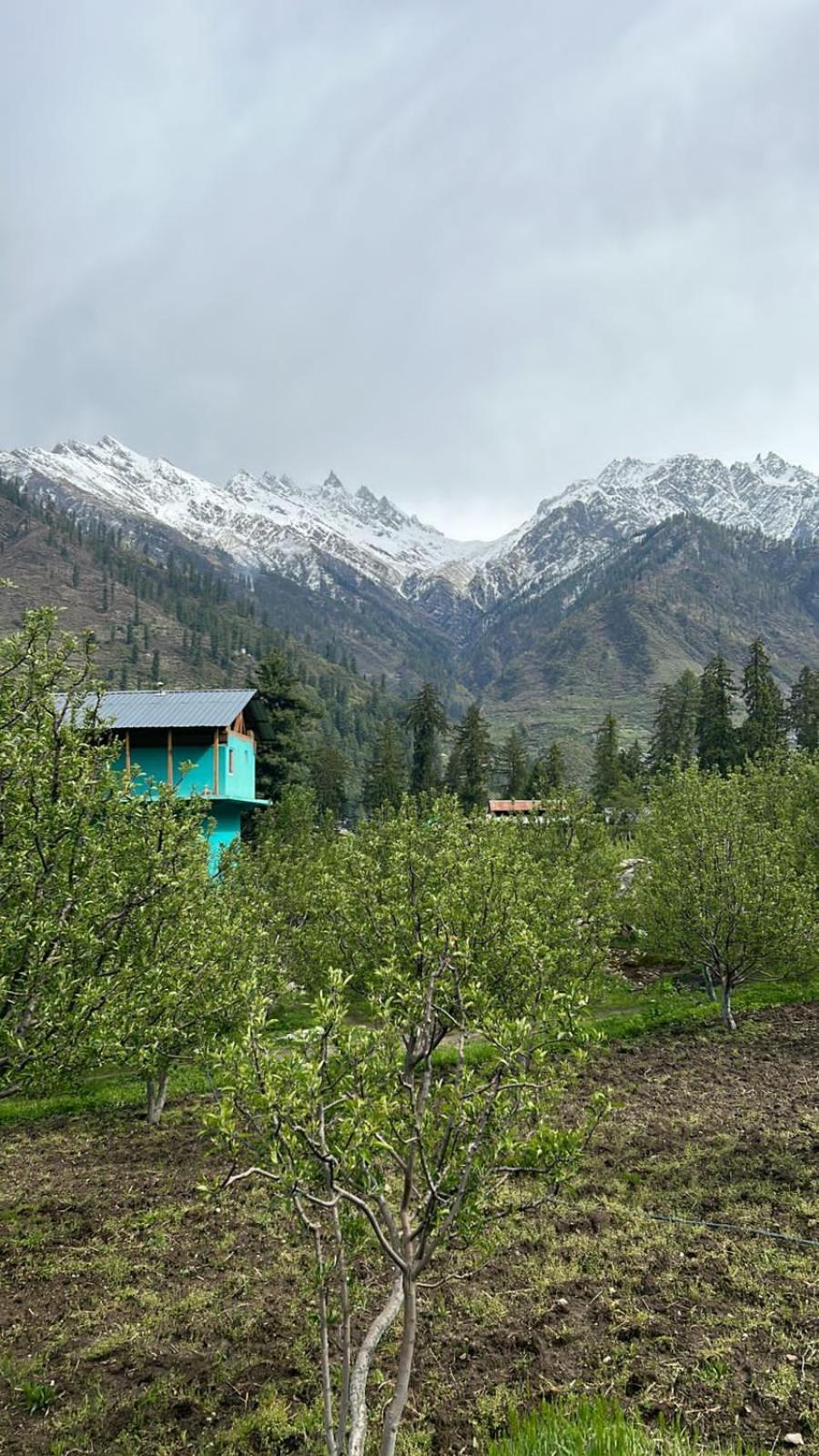 Photo 20