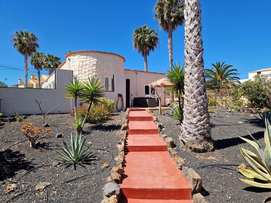 Doce Palmeras, stunning villa in beautiful gardens