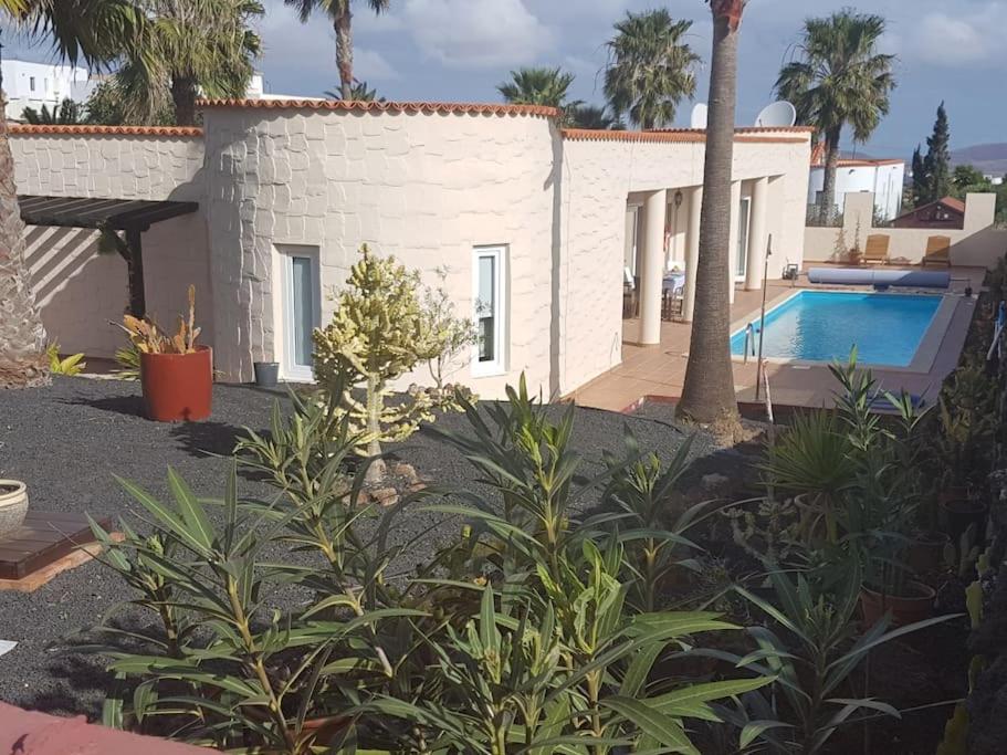 Doce Palmeras, stunning villa in beautiful gardens