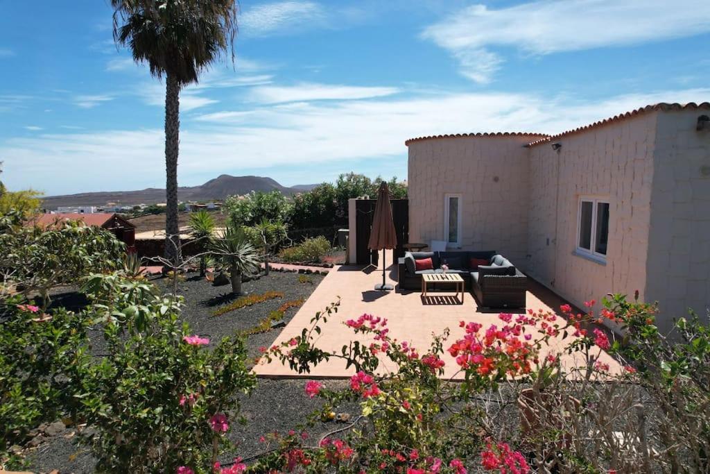 Doce Palmeras, stunning villa in beautiful gardens