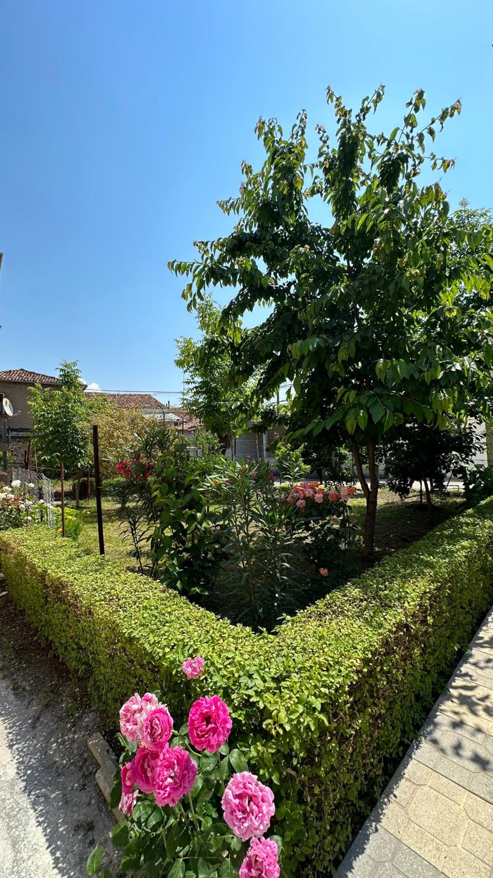 Js House Shkoder 2
