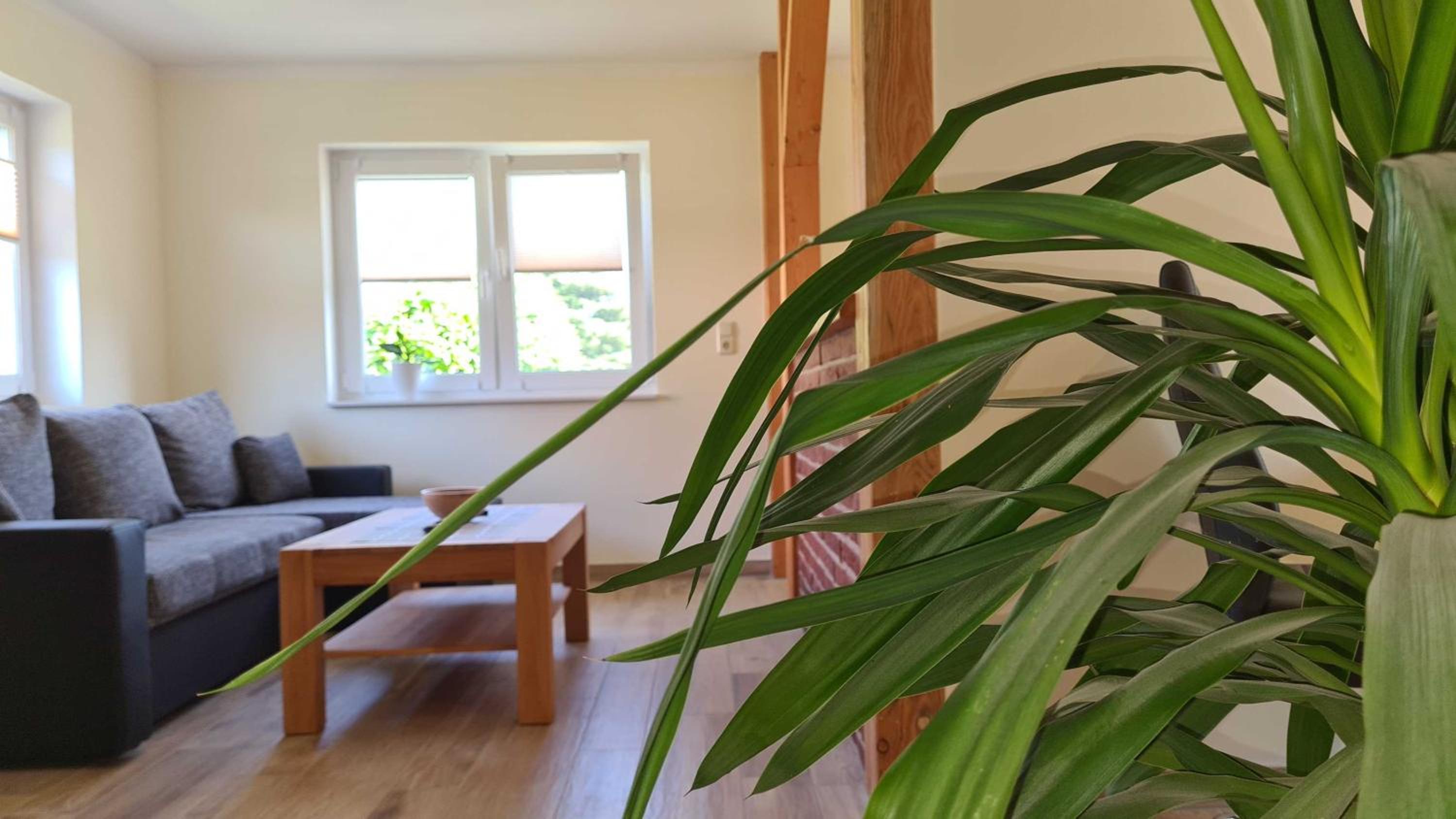 Garten-Haus