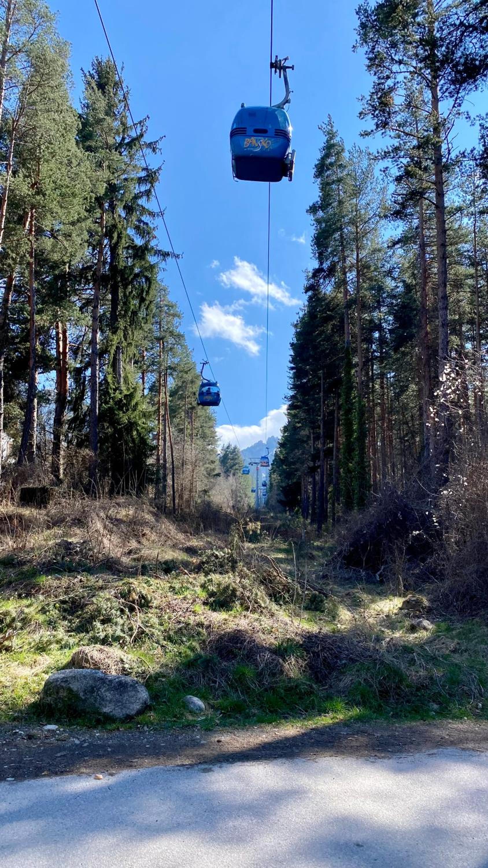 Deluxe Studio 200m from Ski Road