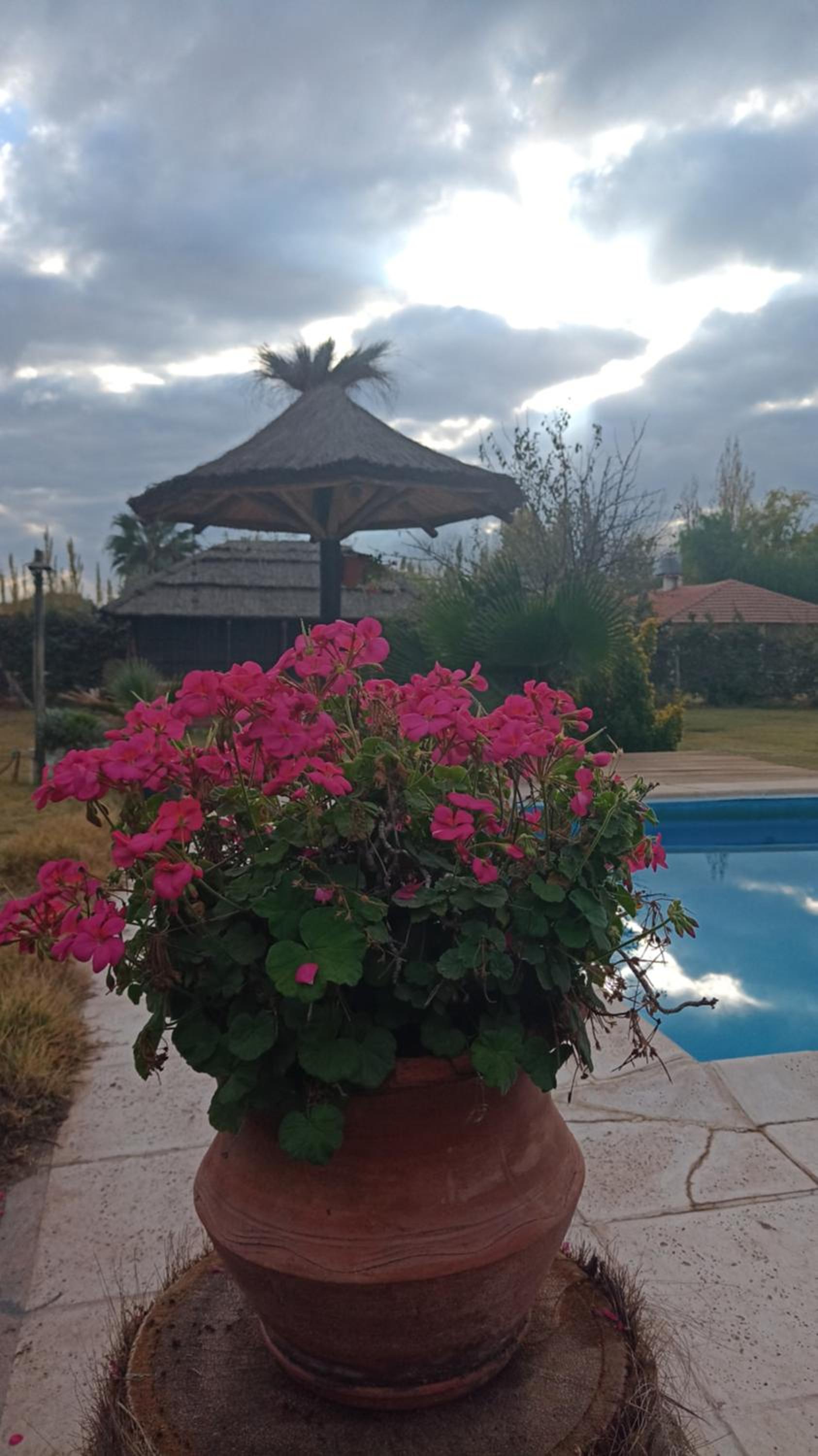 Quinta Los Olivos