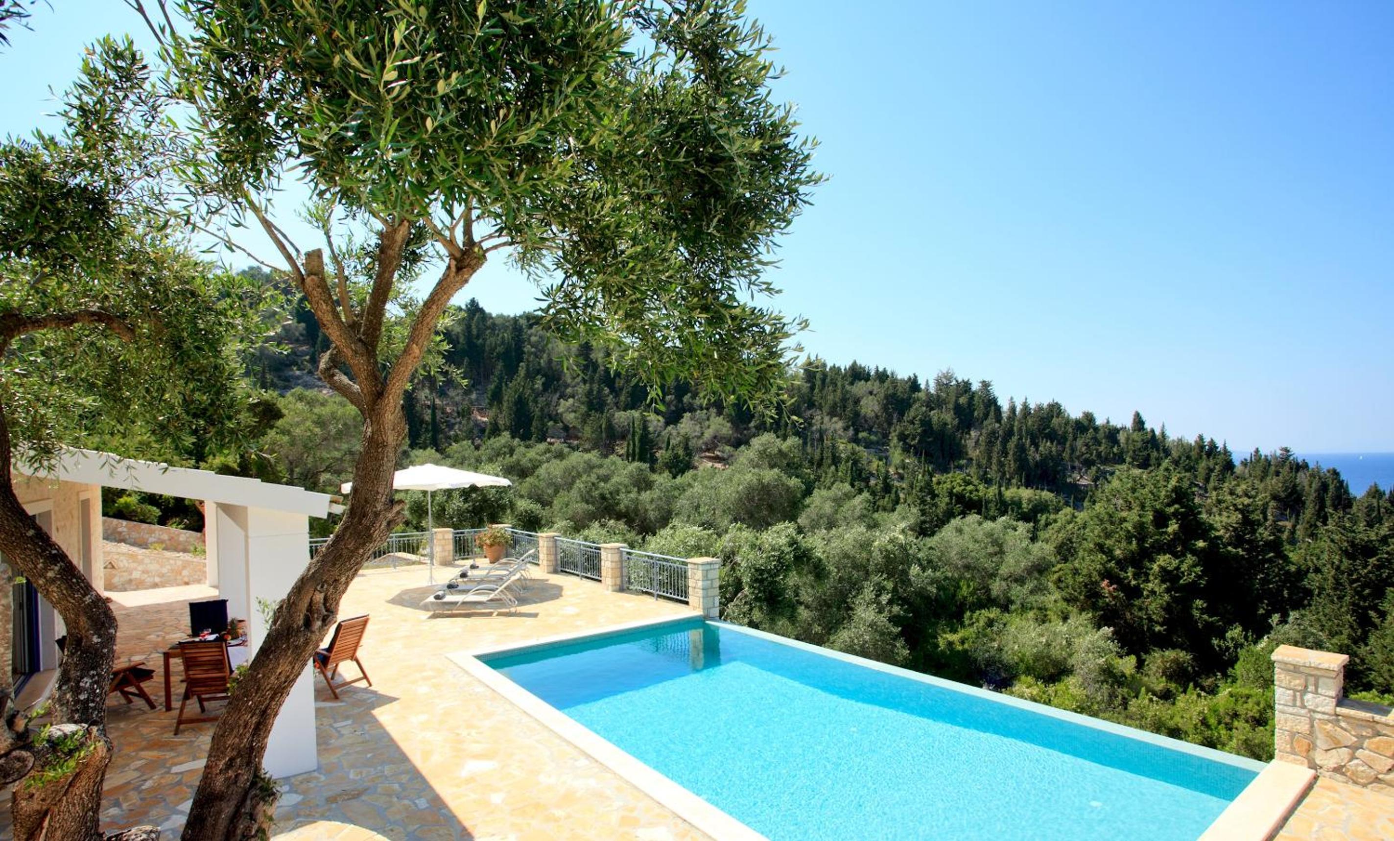 Monodendri Blue