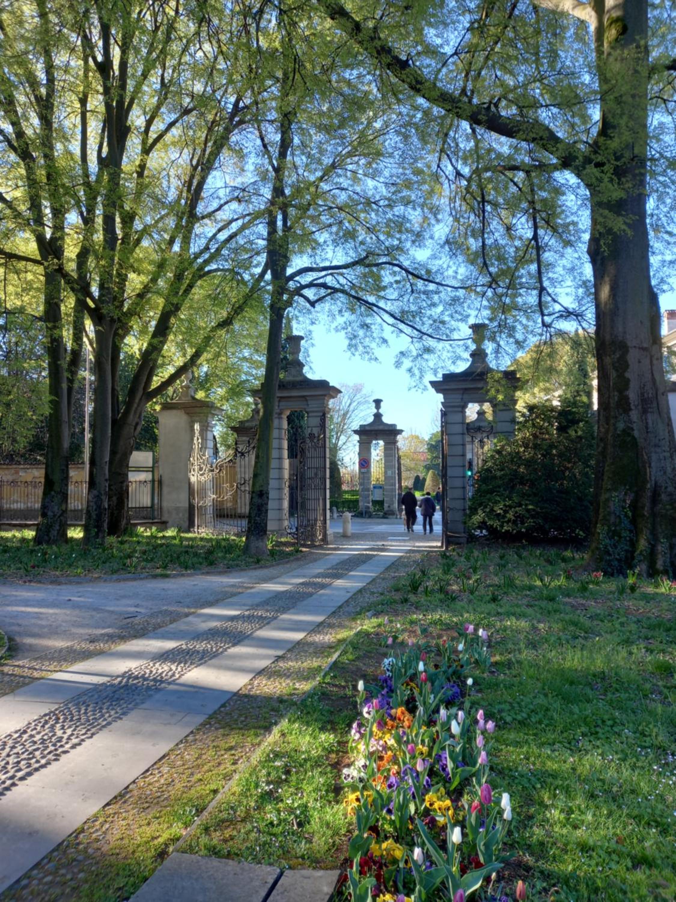 Photo 21