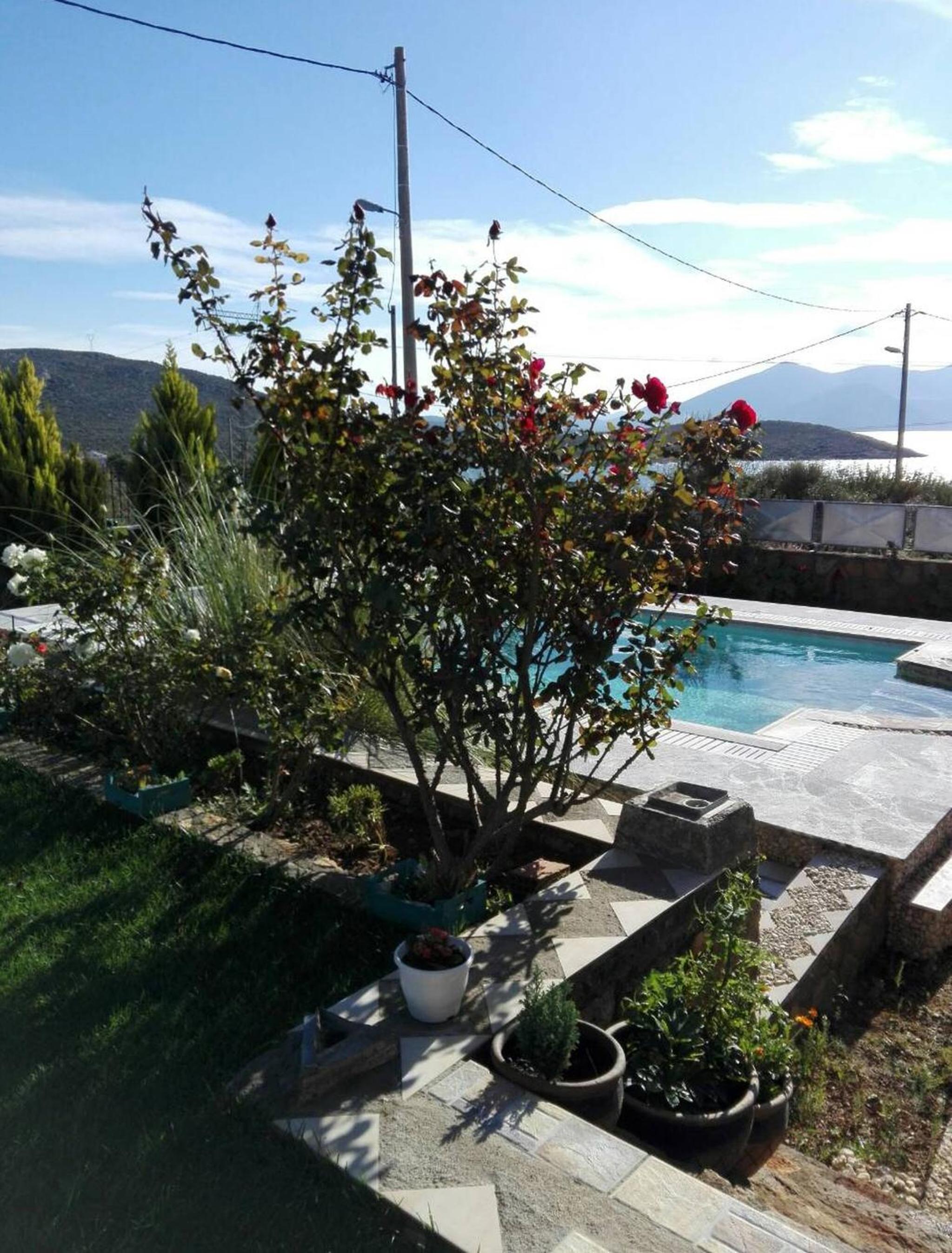 Photo 43