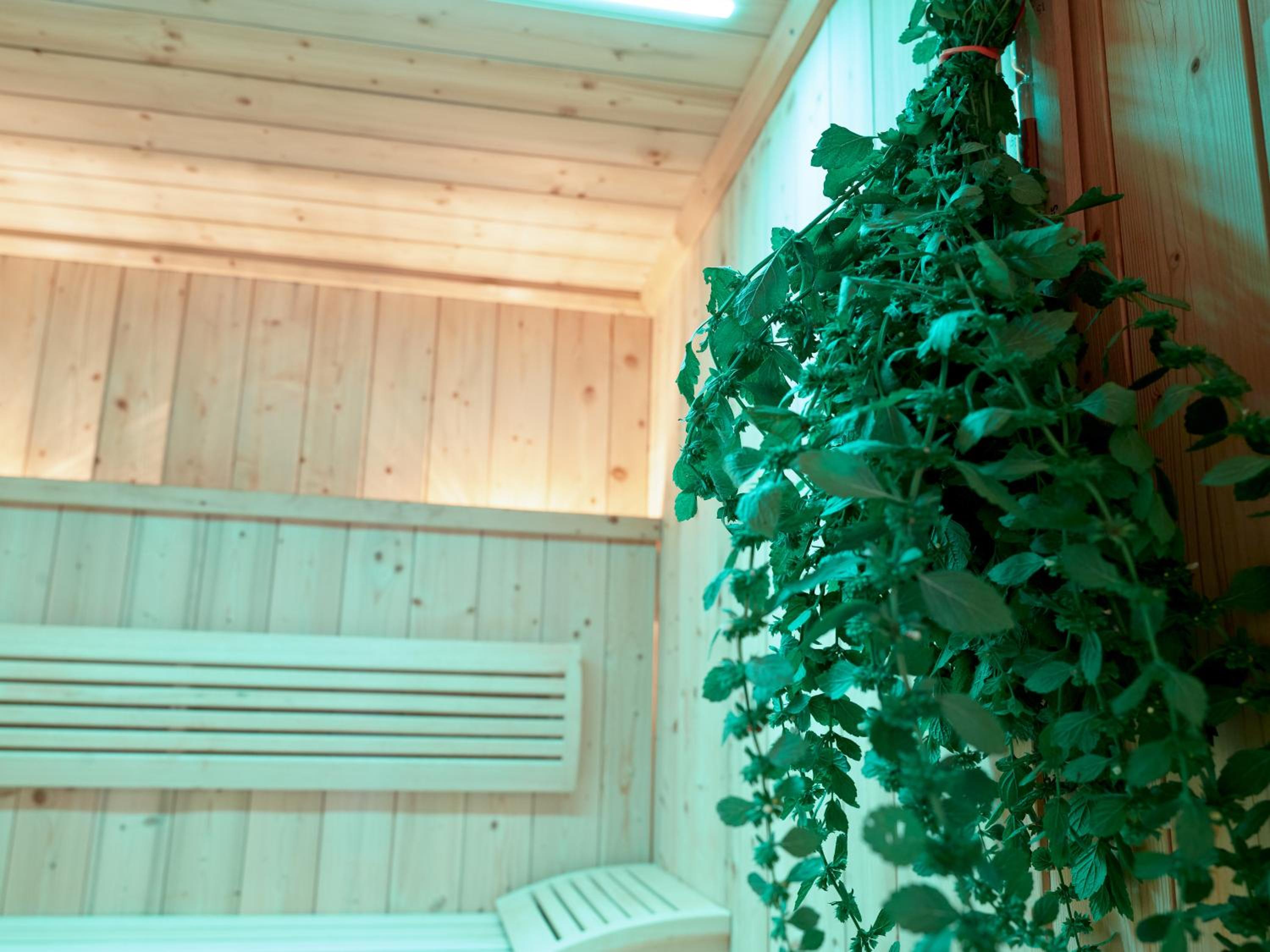 Landhotel Geyer - Property Image 3
