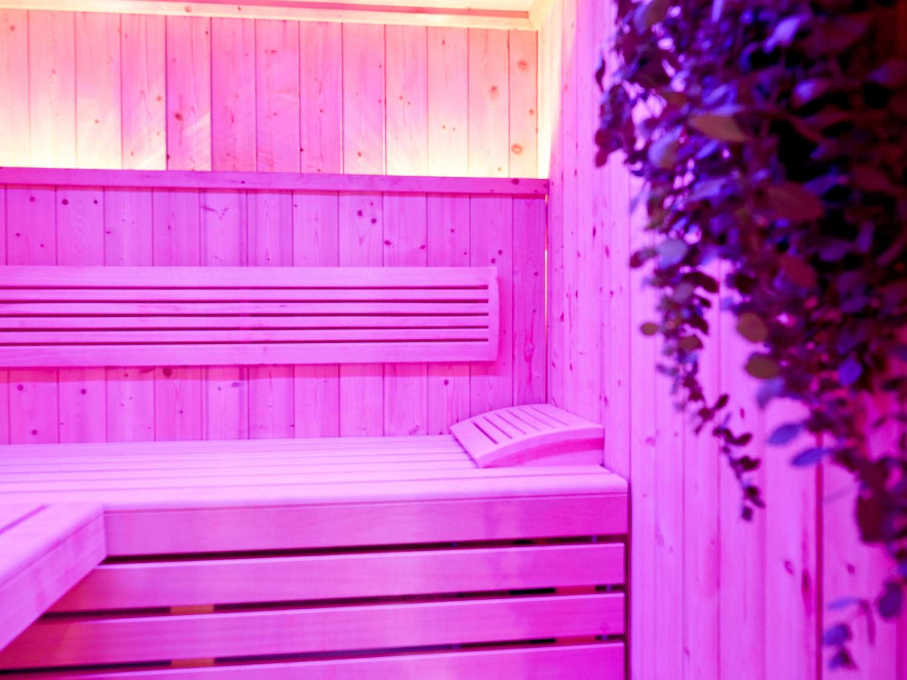 Landhotel Geyer - Property Image 12