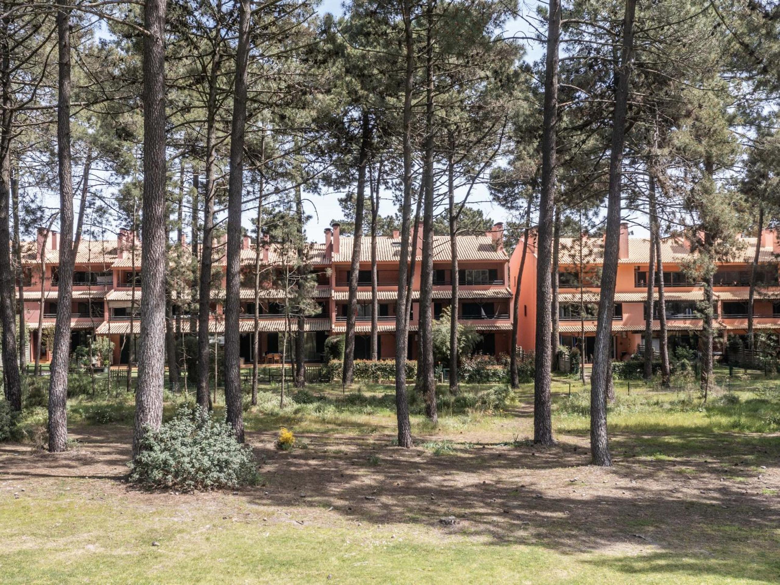 Apartment Pedro