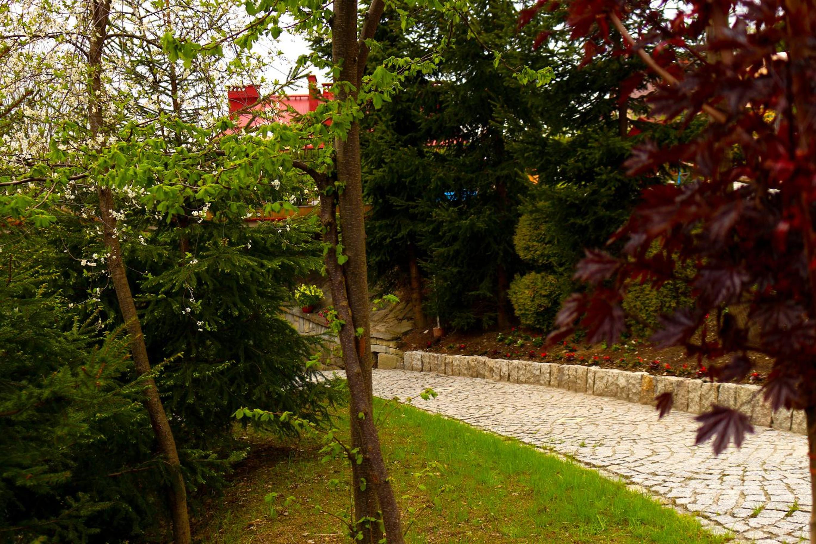 Janda Resort & Conference