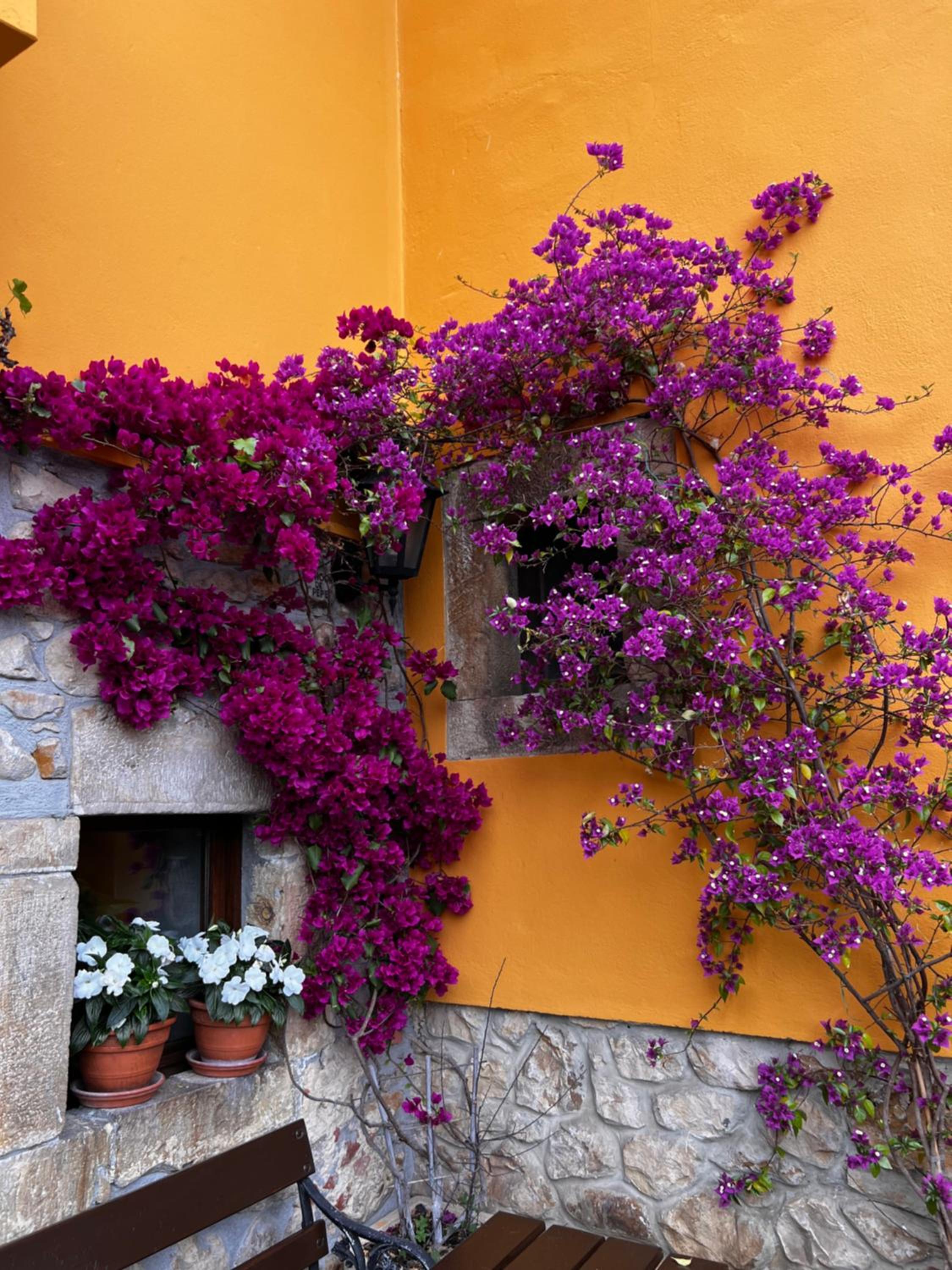 Casa Rural Los campos
