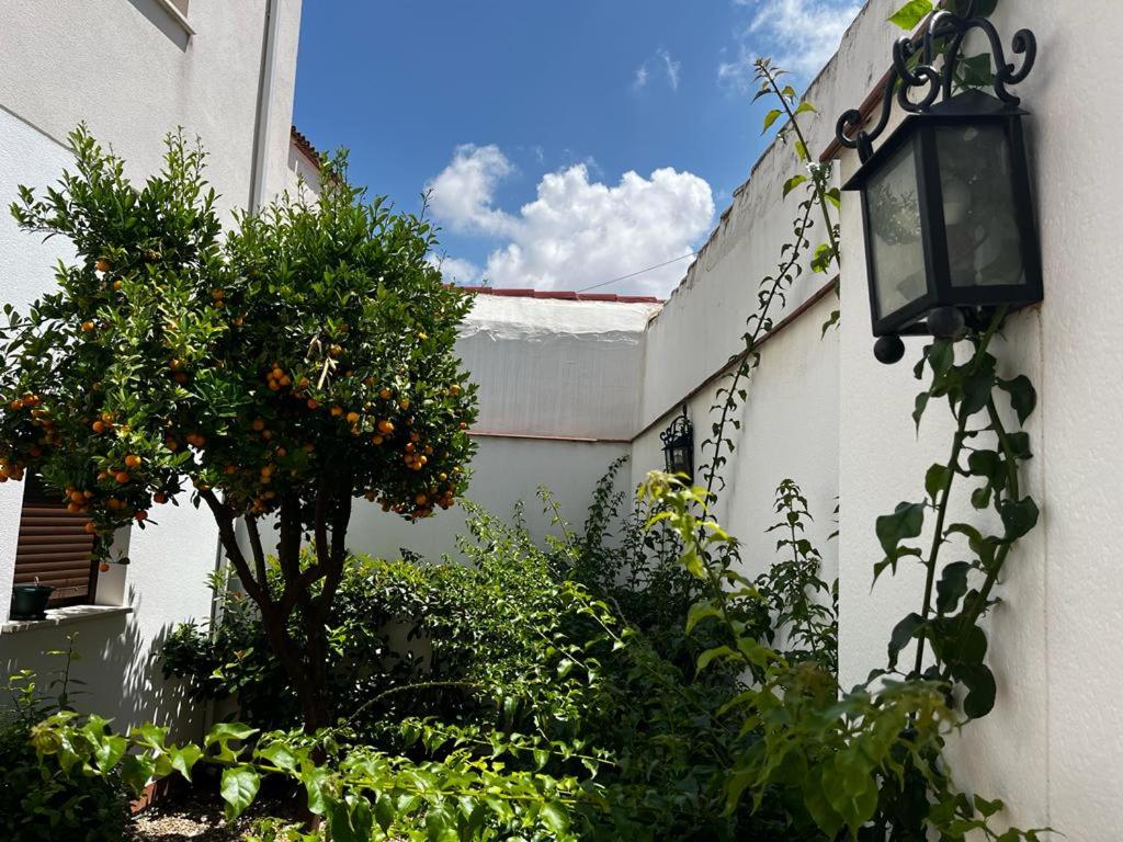 Acogedor apartamento junto a plaza de San Agustin