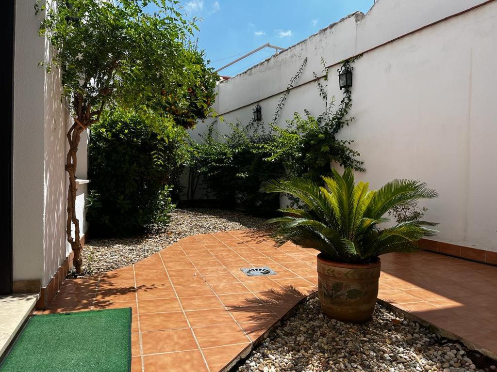 Acogedor apartamento junto a plaza de San Agustin