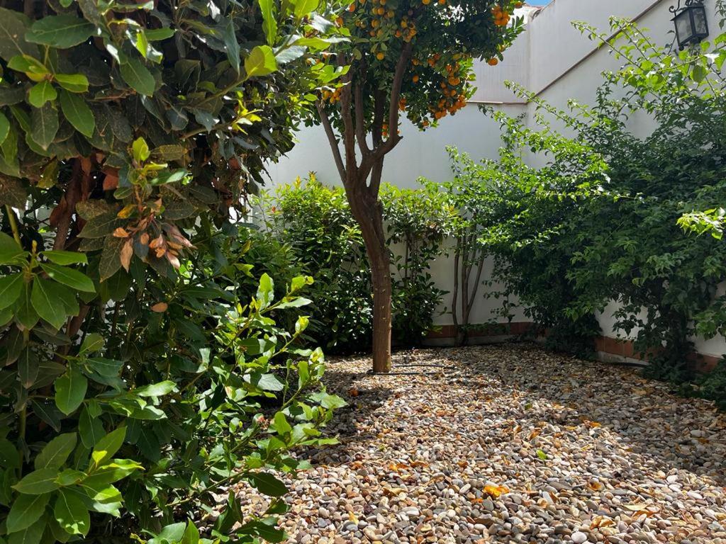 Acogedor apartamento junto a plaza de San Agustin