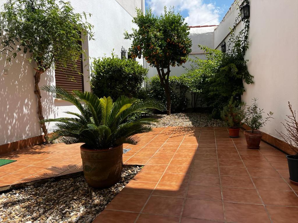 Acogedor apartamento junto a plaza de San Agustin