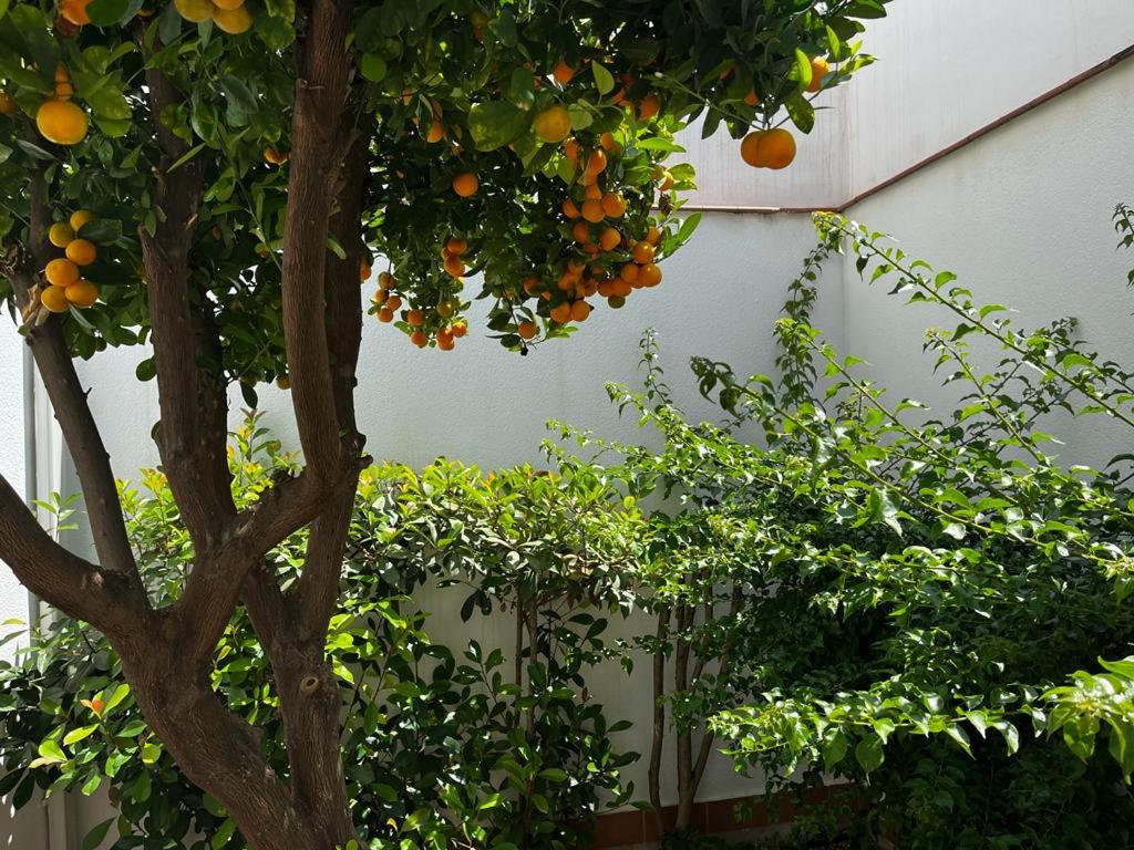 Acogedor apartamento junto a plaza de San Agustin