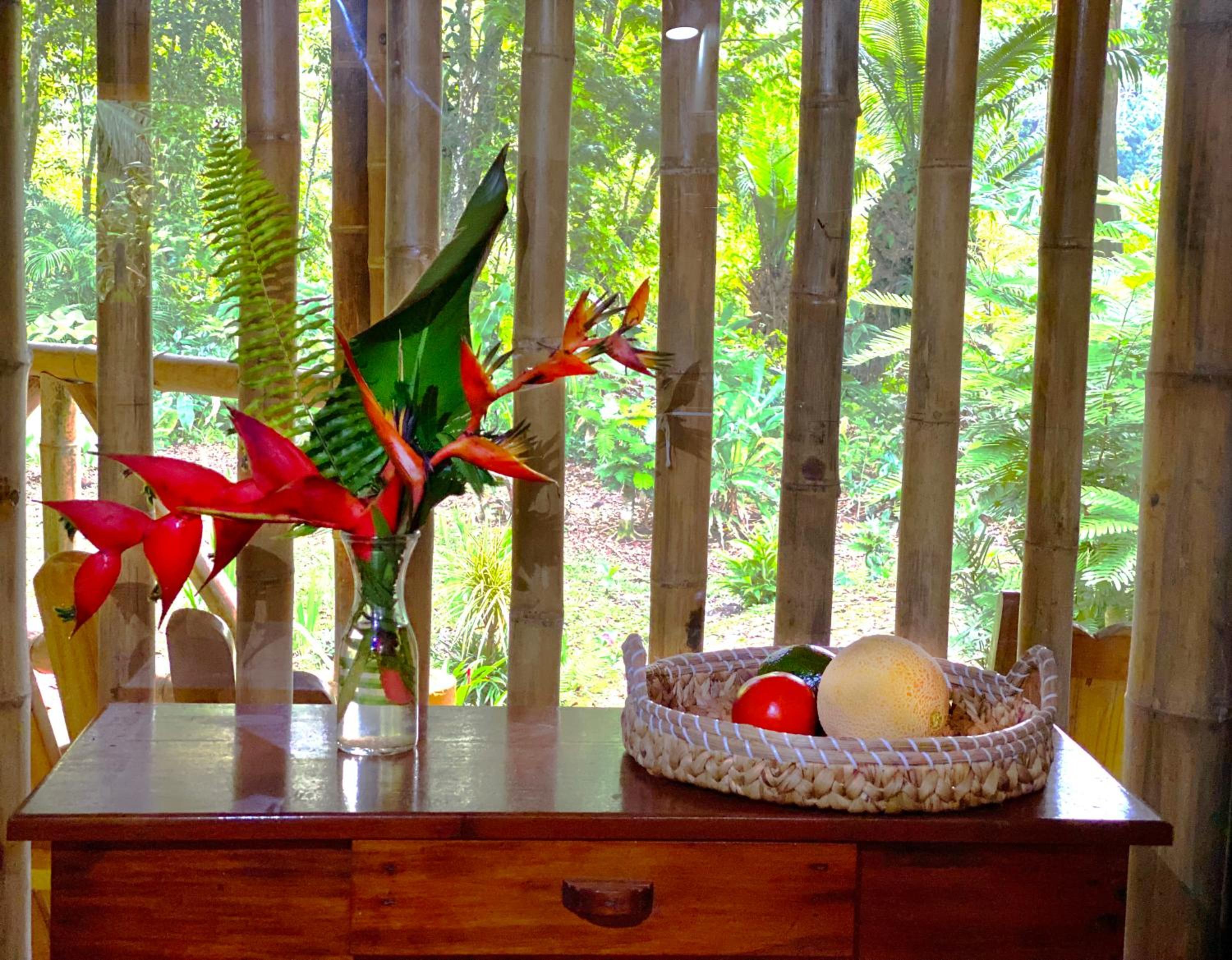 Private Villa on 2-Acres of Jungle Garden & Pool