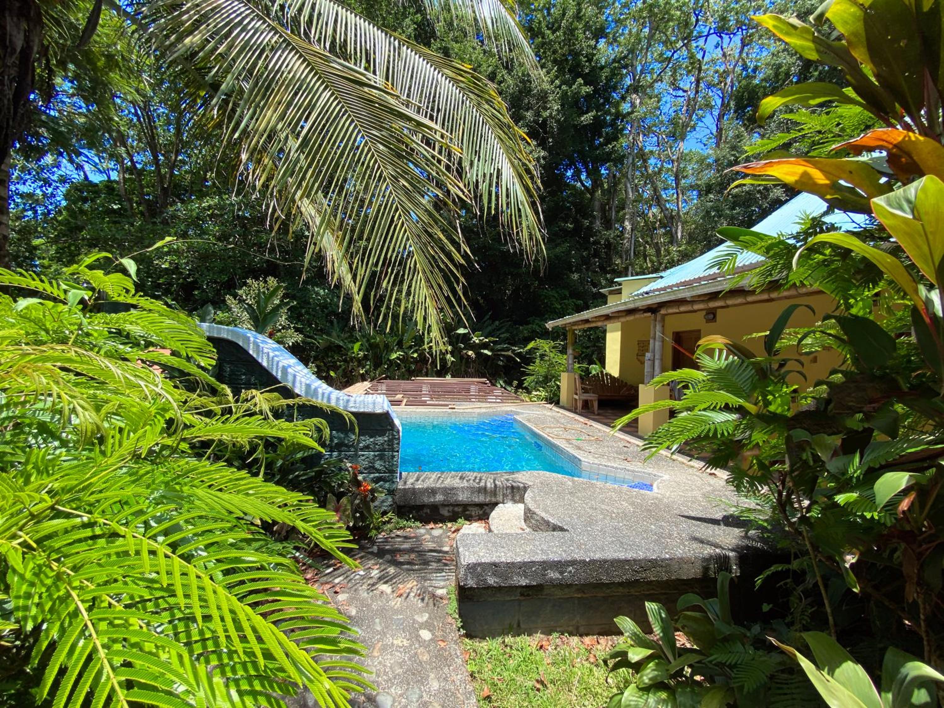 Private Villa on 2-Acres of Jungle Garden & Pool