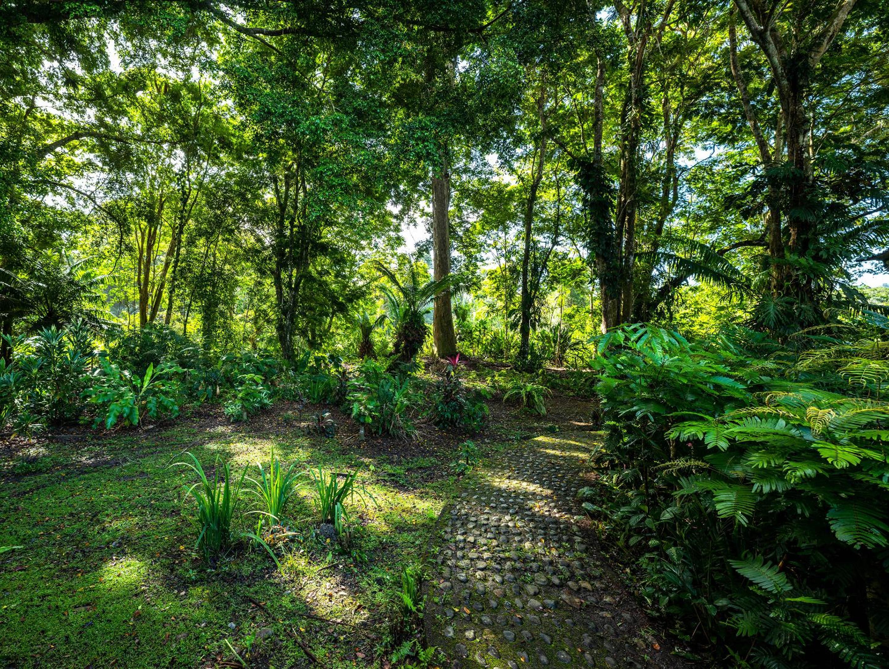 Private Villa on 2-Acres of Jungle Garden & Pool