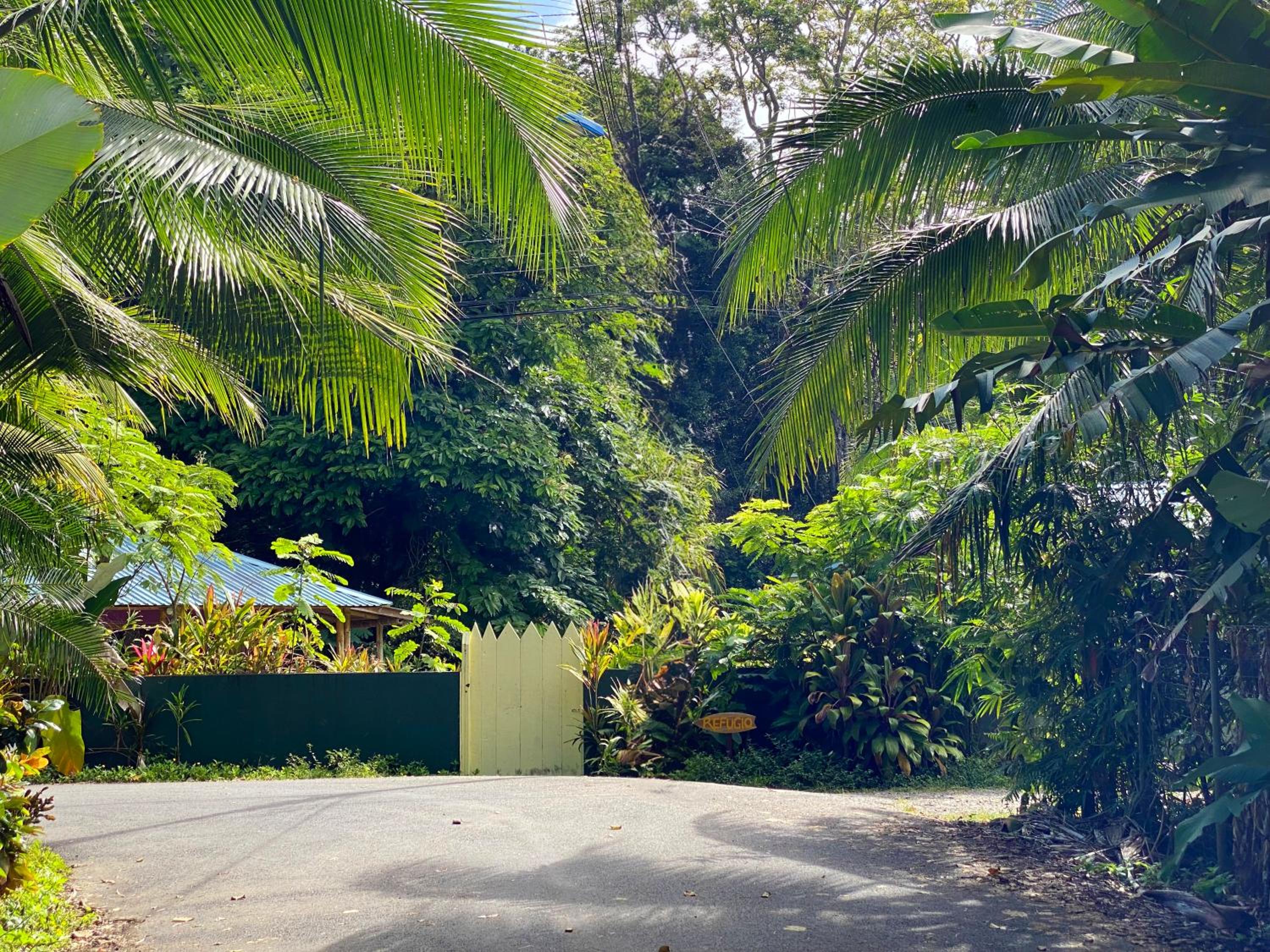 Private Villa on 2-Acres of Jungle Garden & Pool