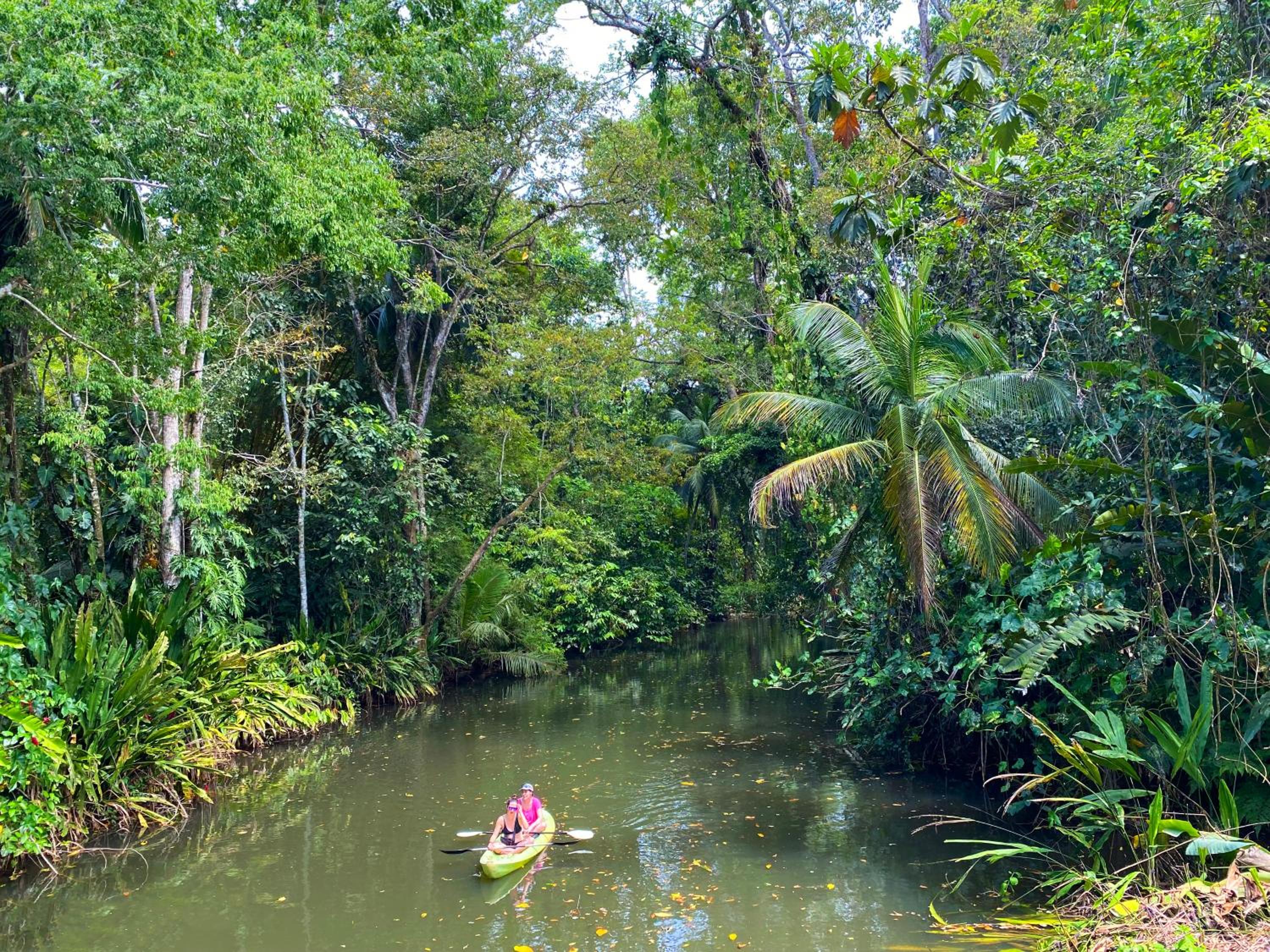 Private Villa on 2-Acres of Jungle Garden & Pool