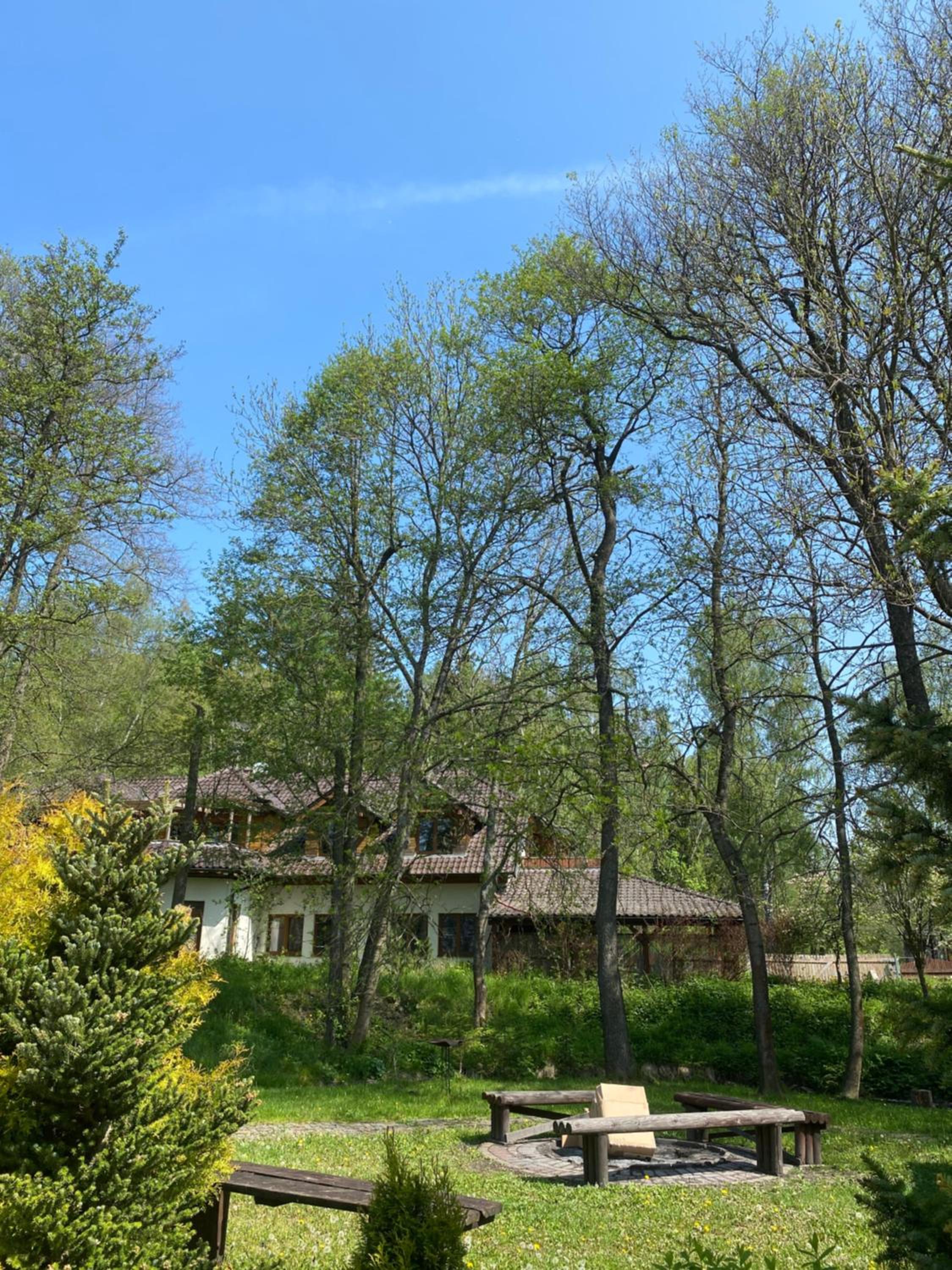 Photo 15