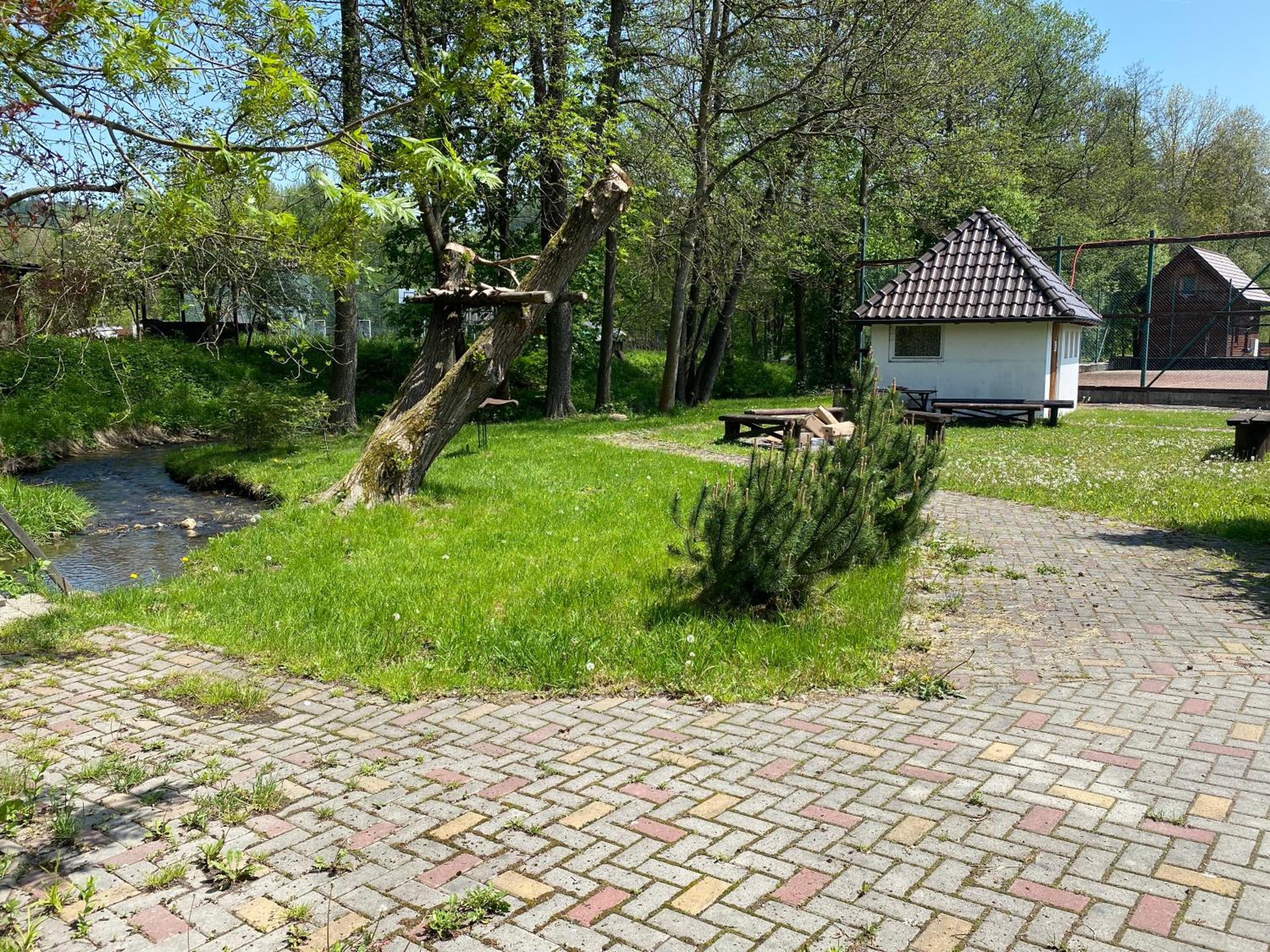 Photo 14