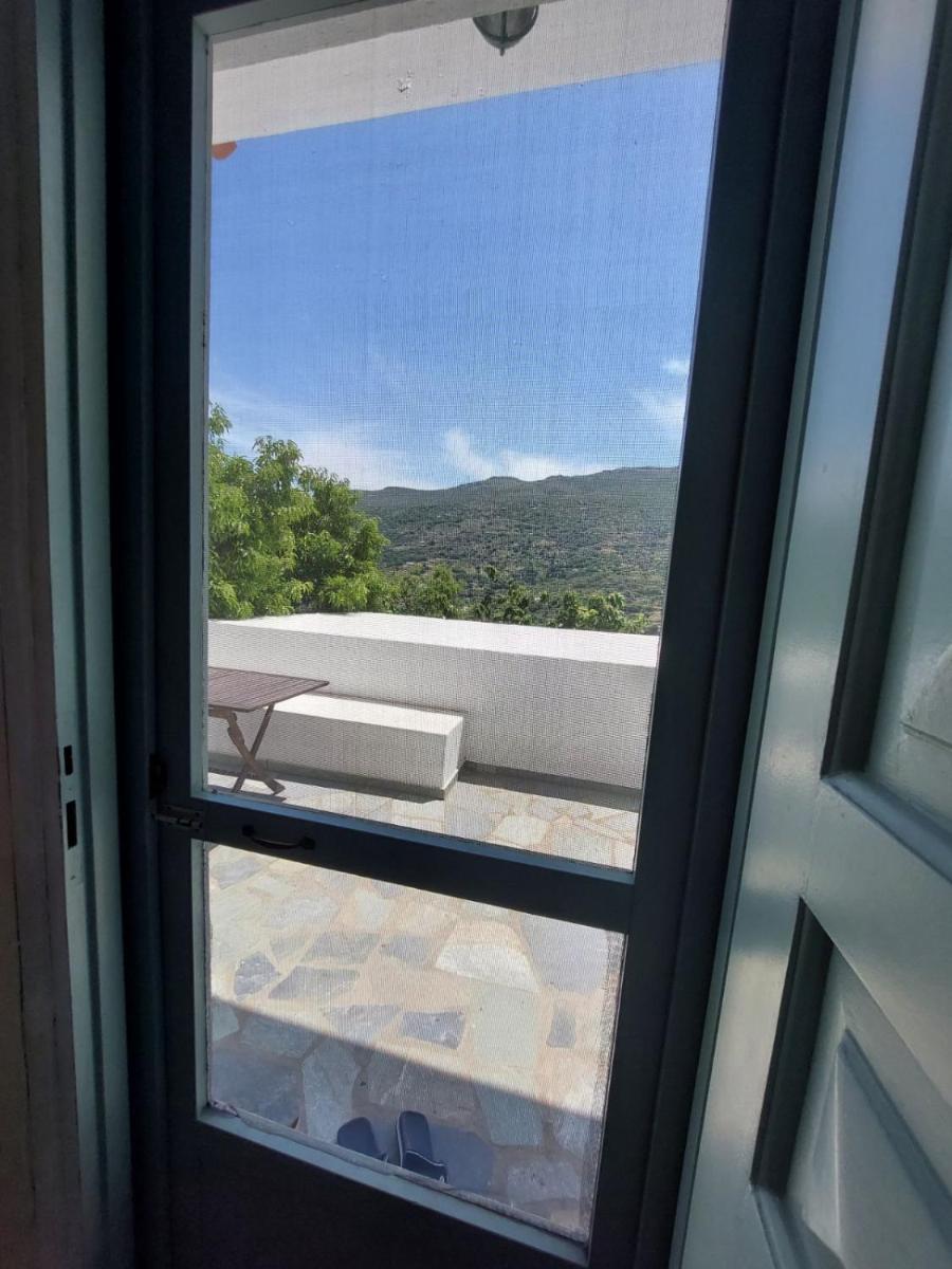 Palaiokrassa Sunny Apartment view 5