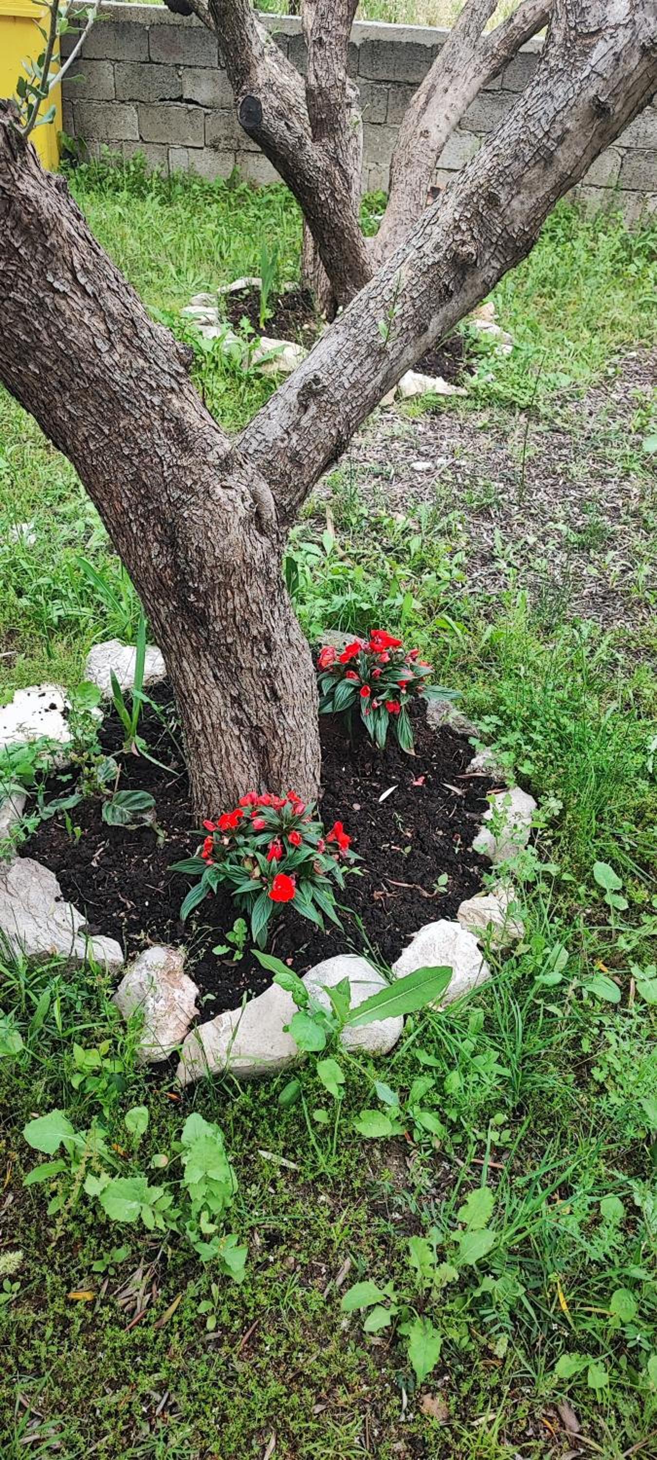 Photo 23