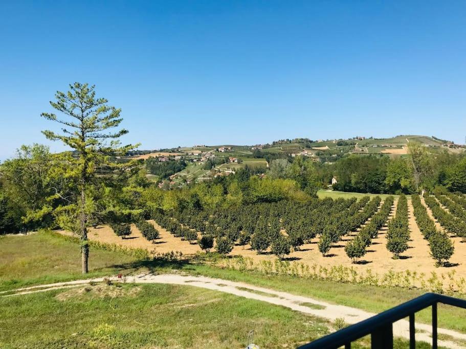 Country house in the Langhe with vineyard view 4