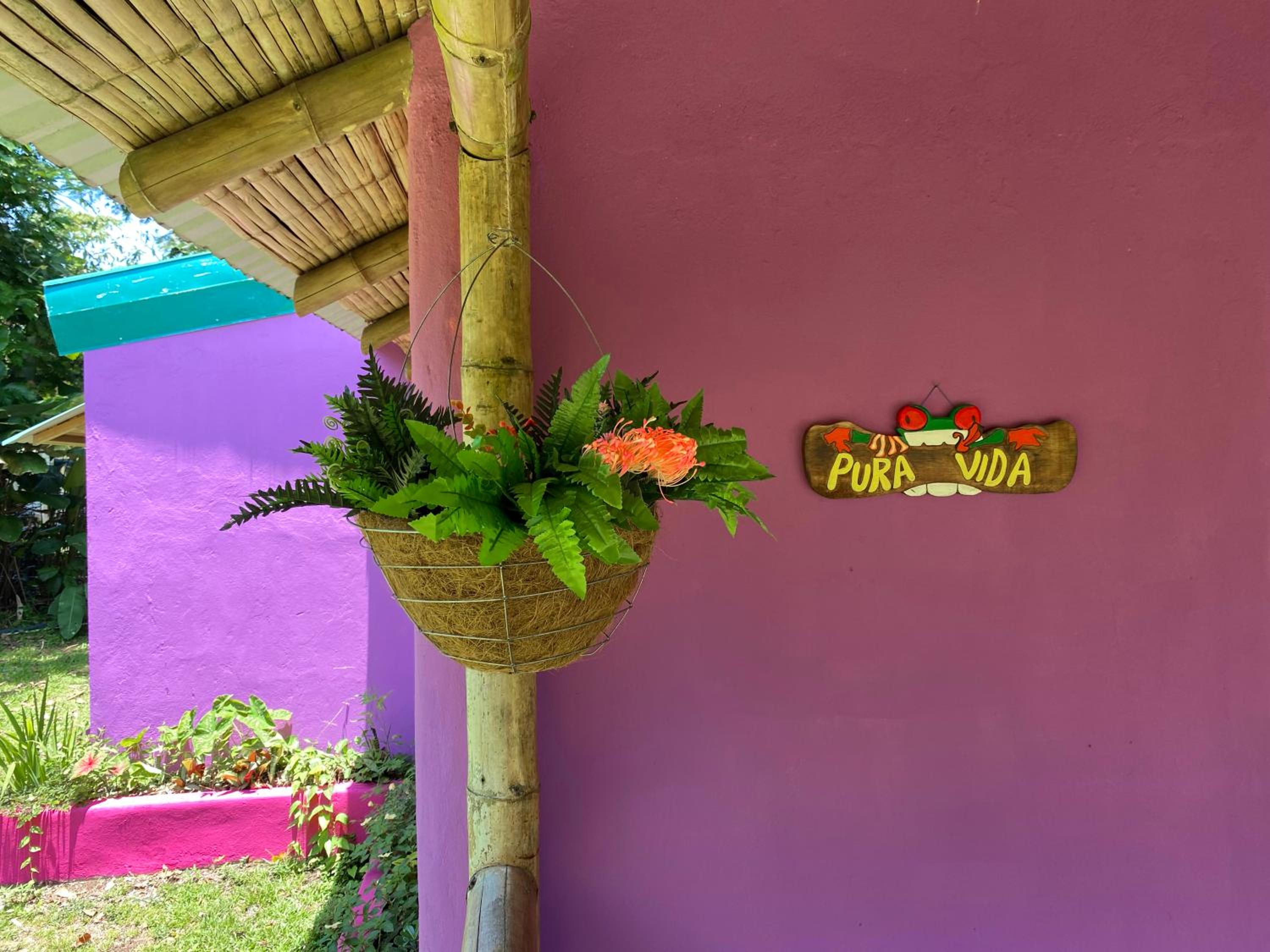 Casa Lavanda in tropical jungle garden