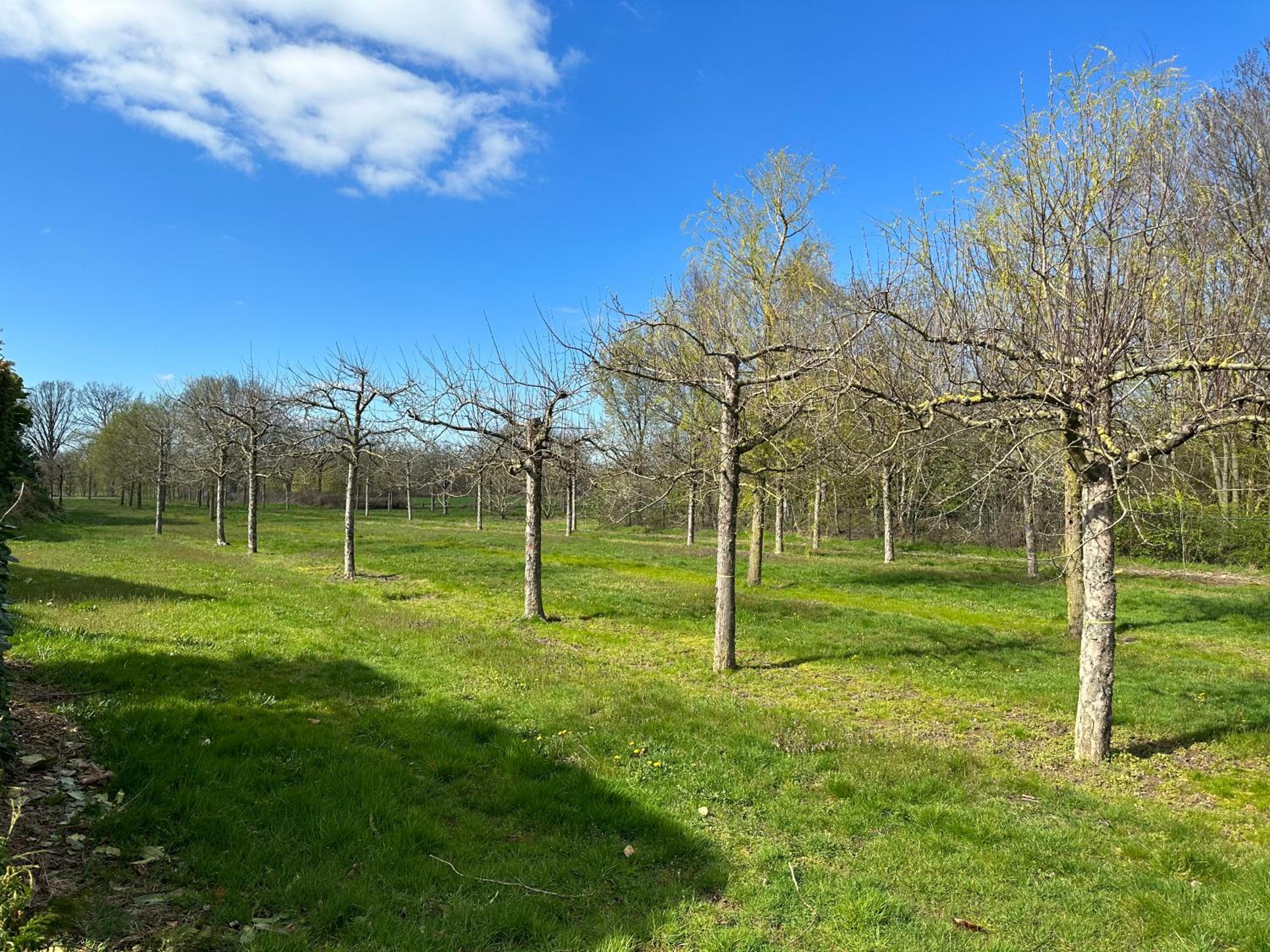 Stijlvol huisje in de Brabantse natuur! Tuynloodz B