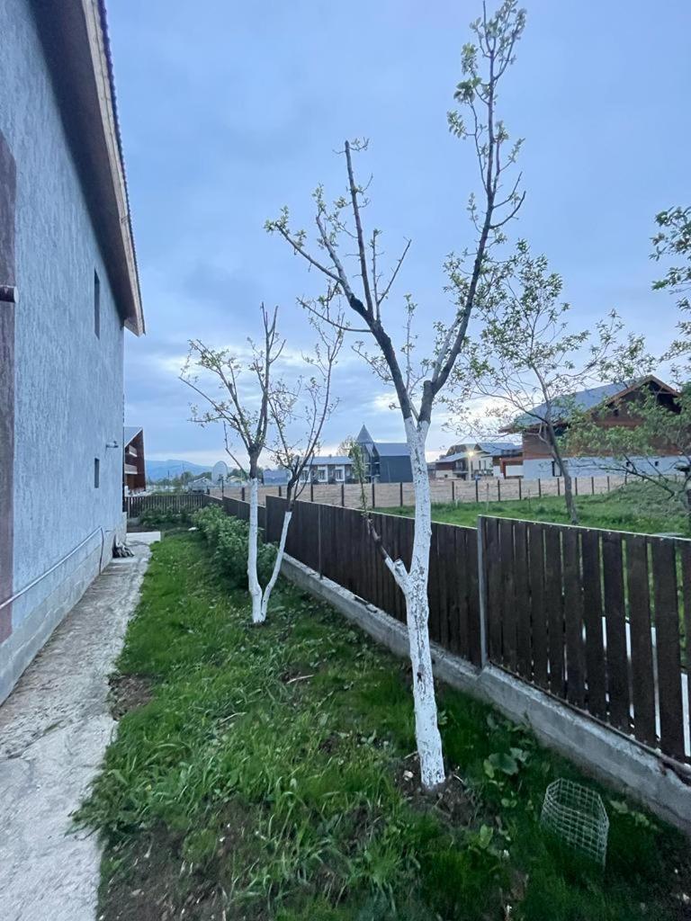 Villa in Bakuriani