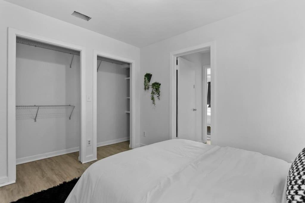 Zebra House - Close 2 all TampaBay has to offer view 5
