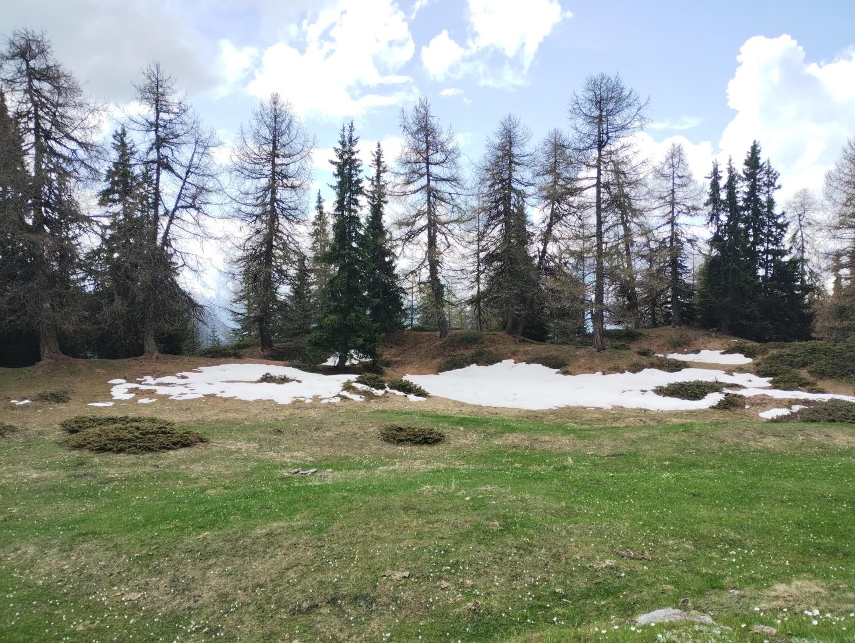 Photo 47
