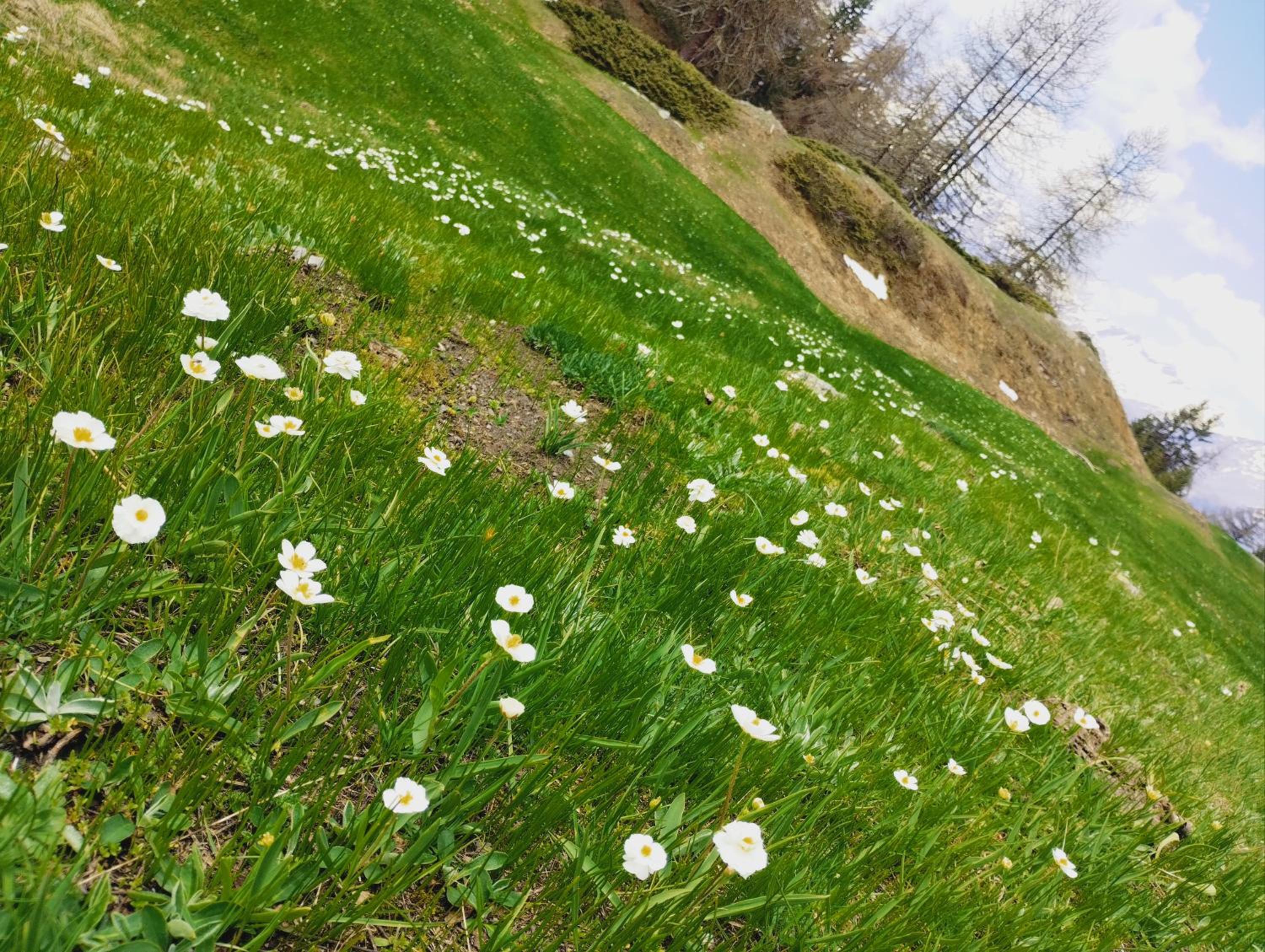 Photo 48