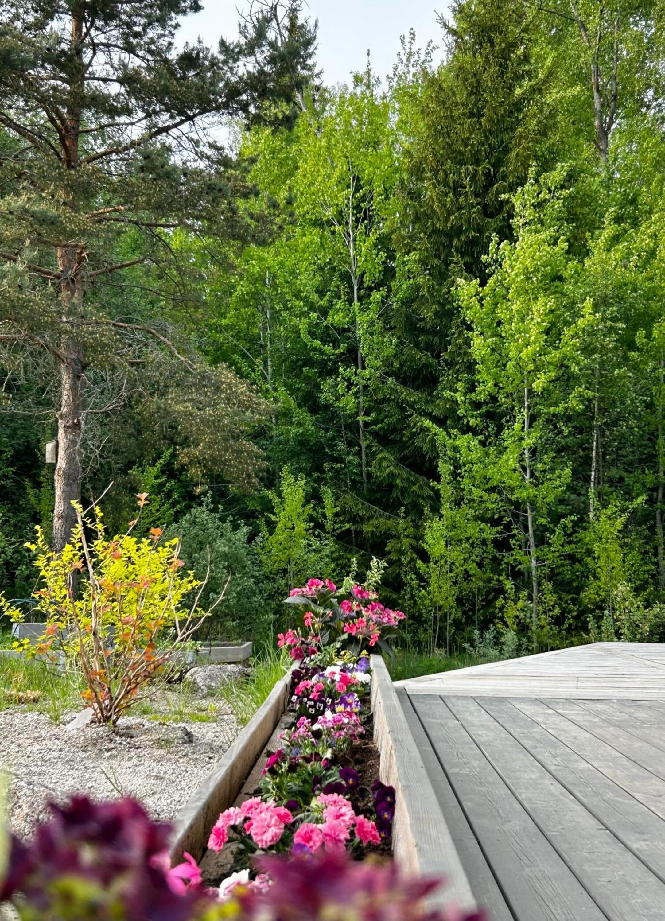Photo 32