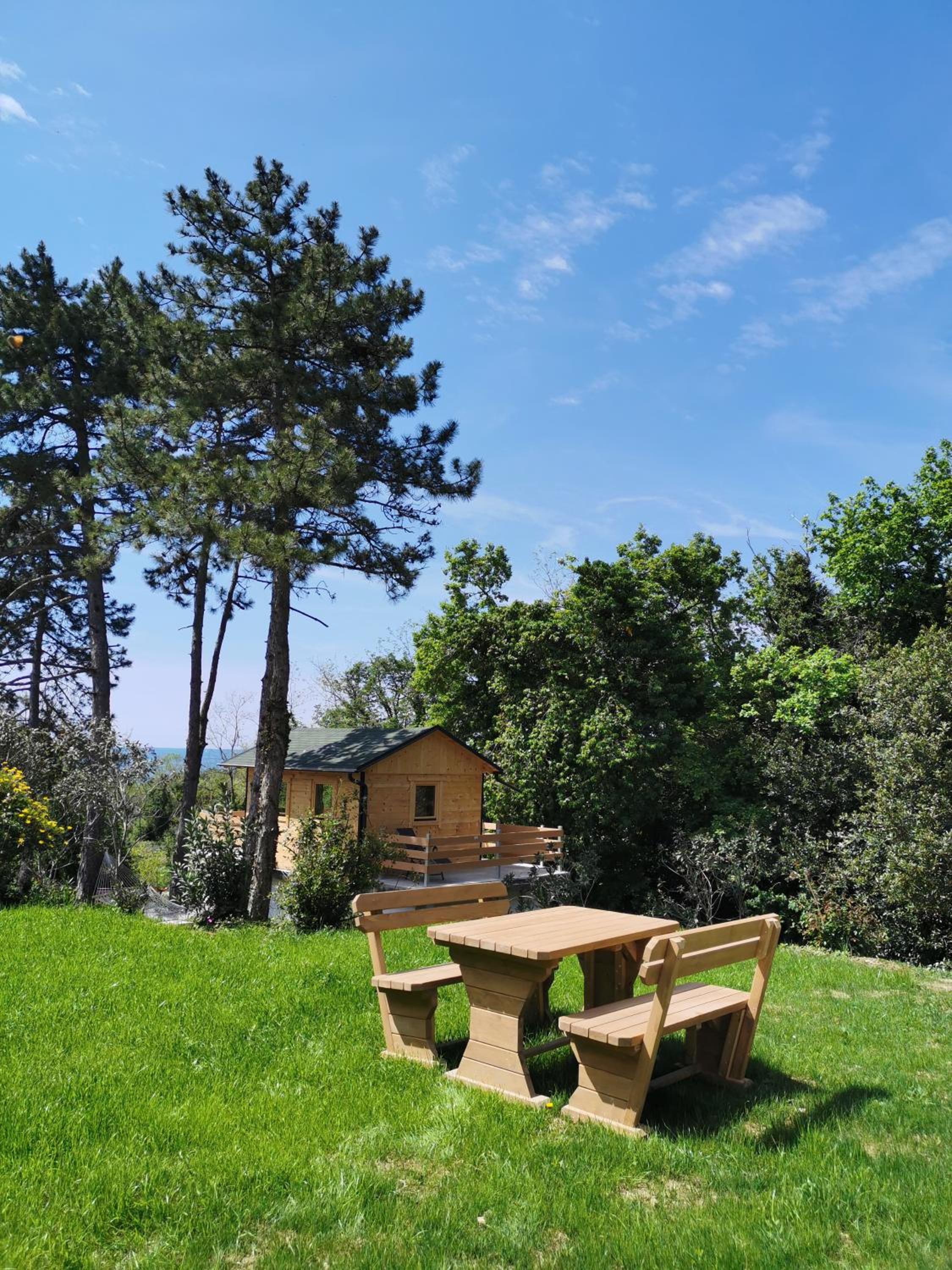 Active Chillax Oasis Apartments
